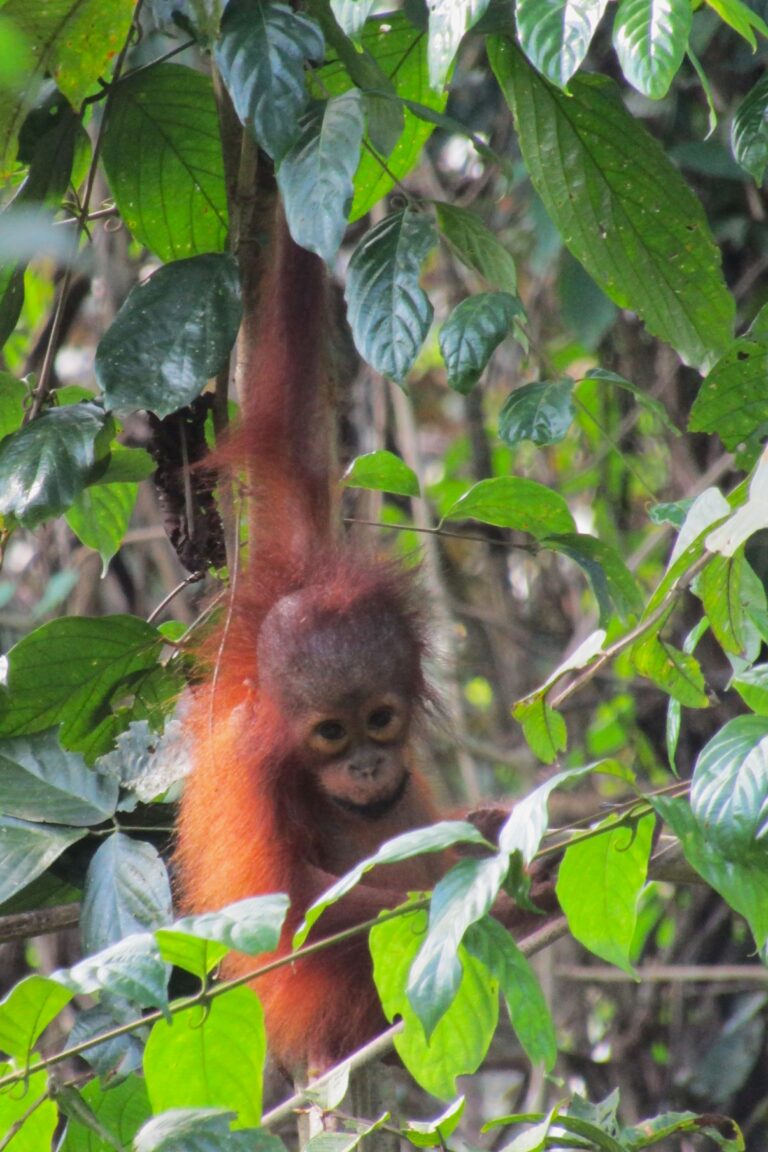 A youngster, alone