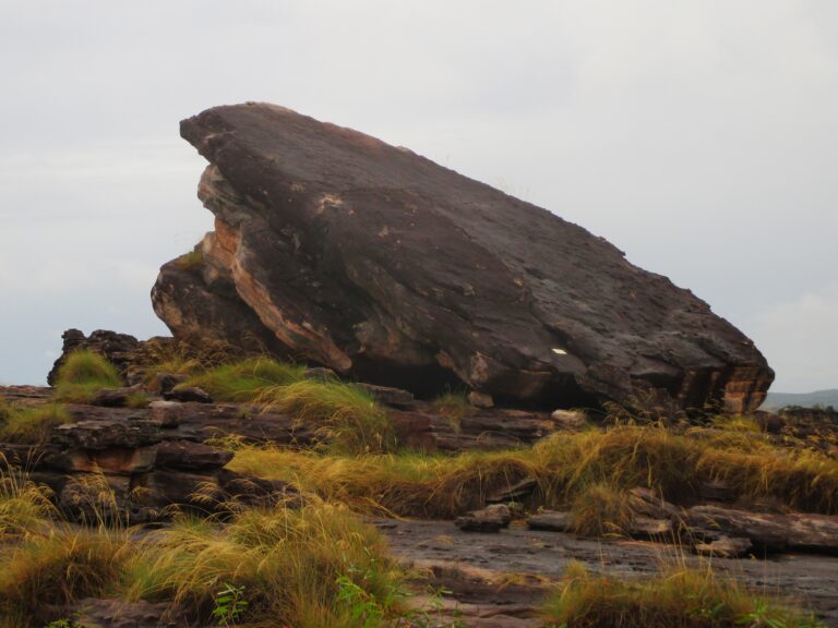 Kakadu's own Pride Rock