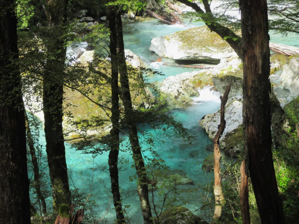 A glimpse of the bright blue river