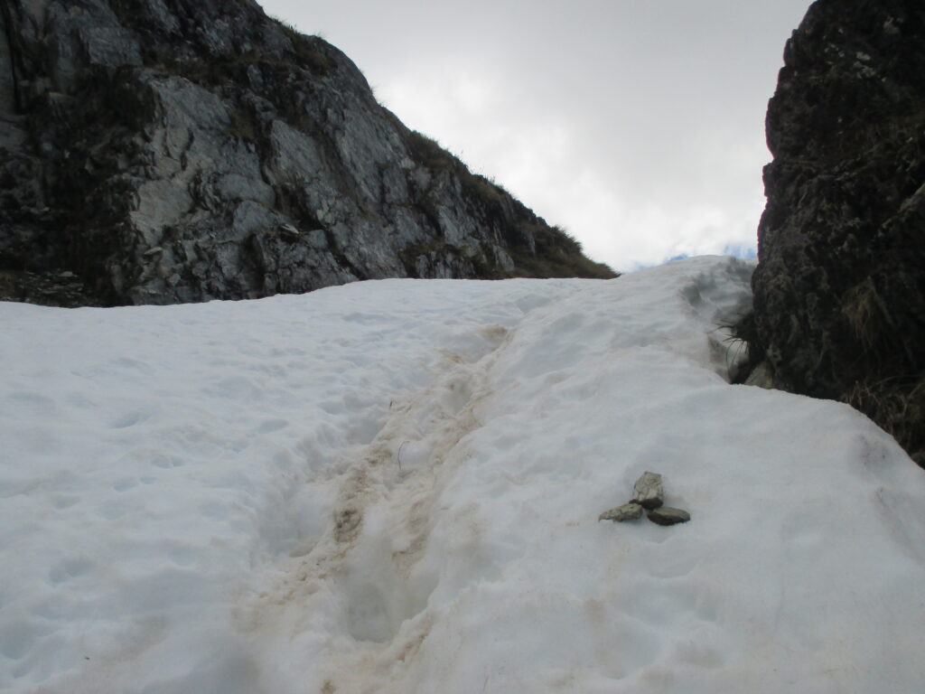 Snow on the trail