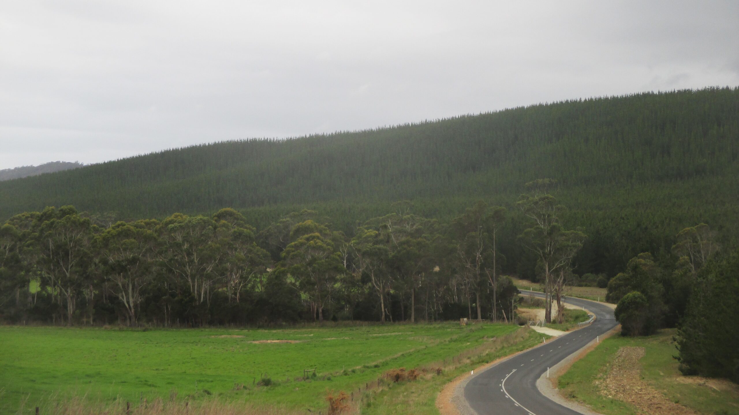 The road into Narawntapu