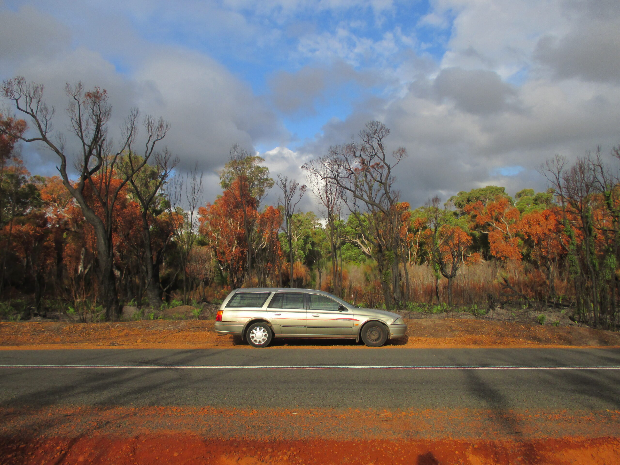 Recovering from a bush fire