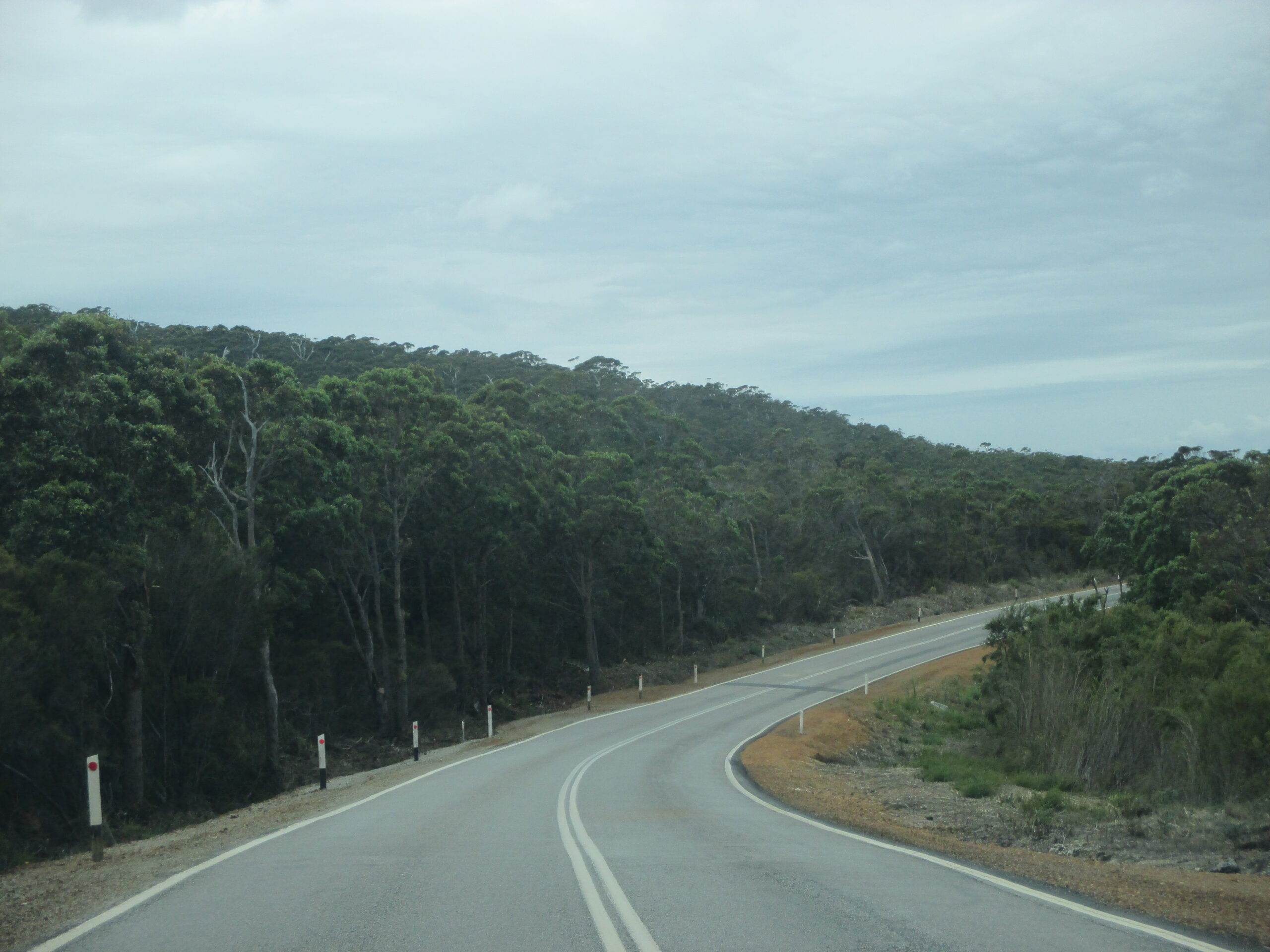 Scenic drive through the woods