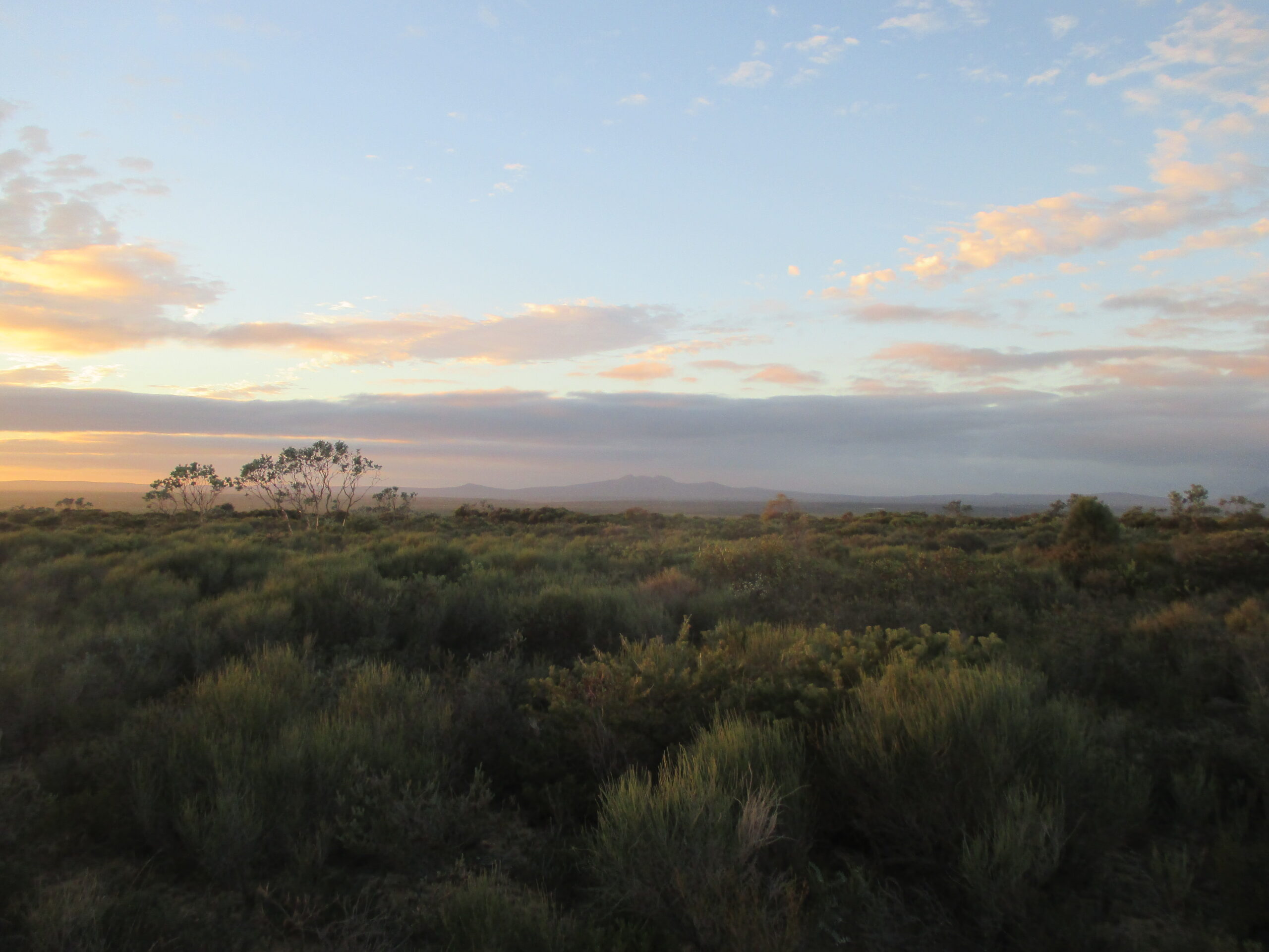 Sunrise at Fitzgerald River