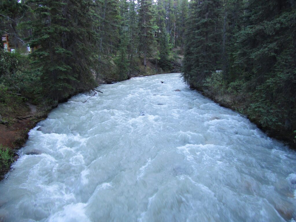 The view above Johnston's River