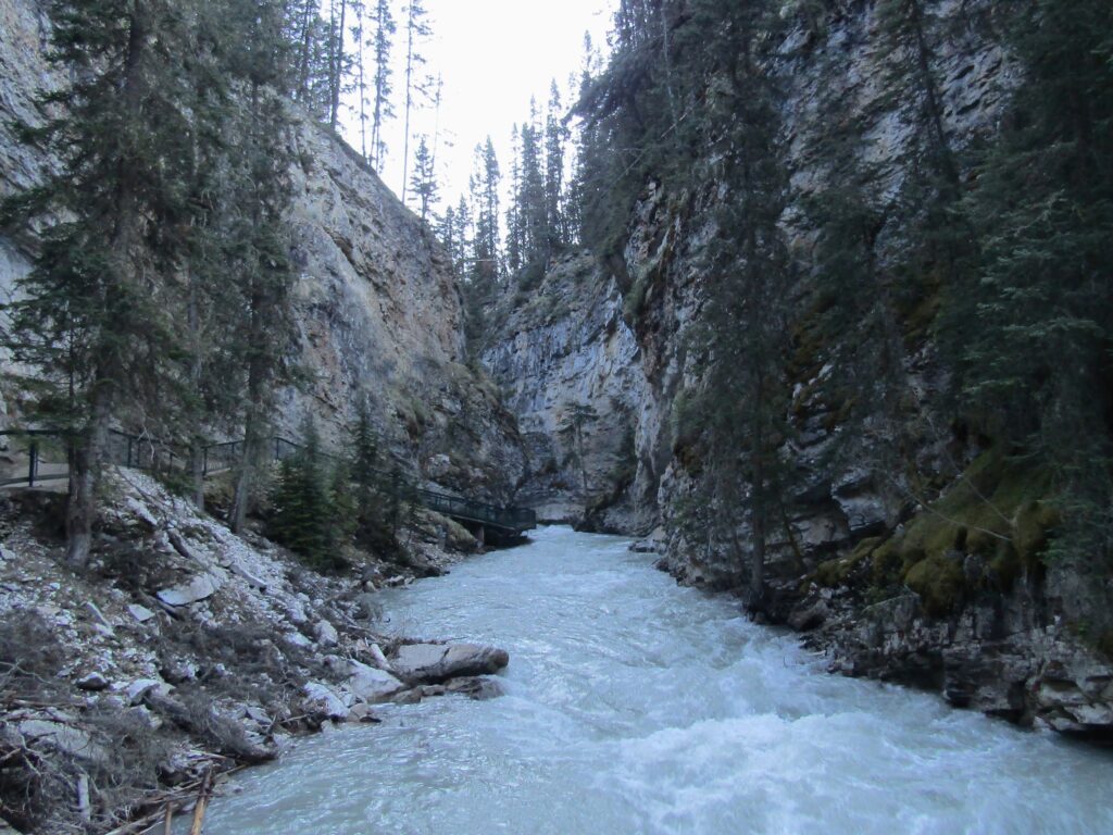 Walking through Johnston's Canyon