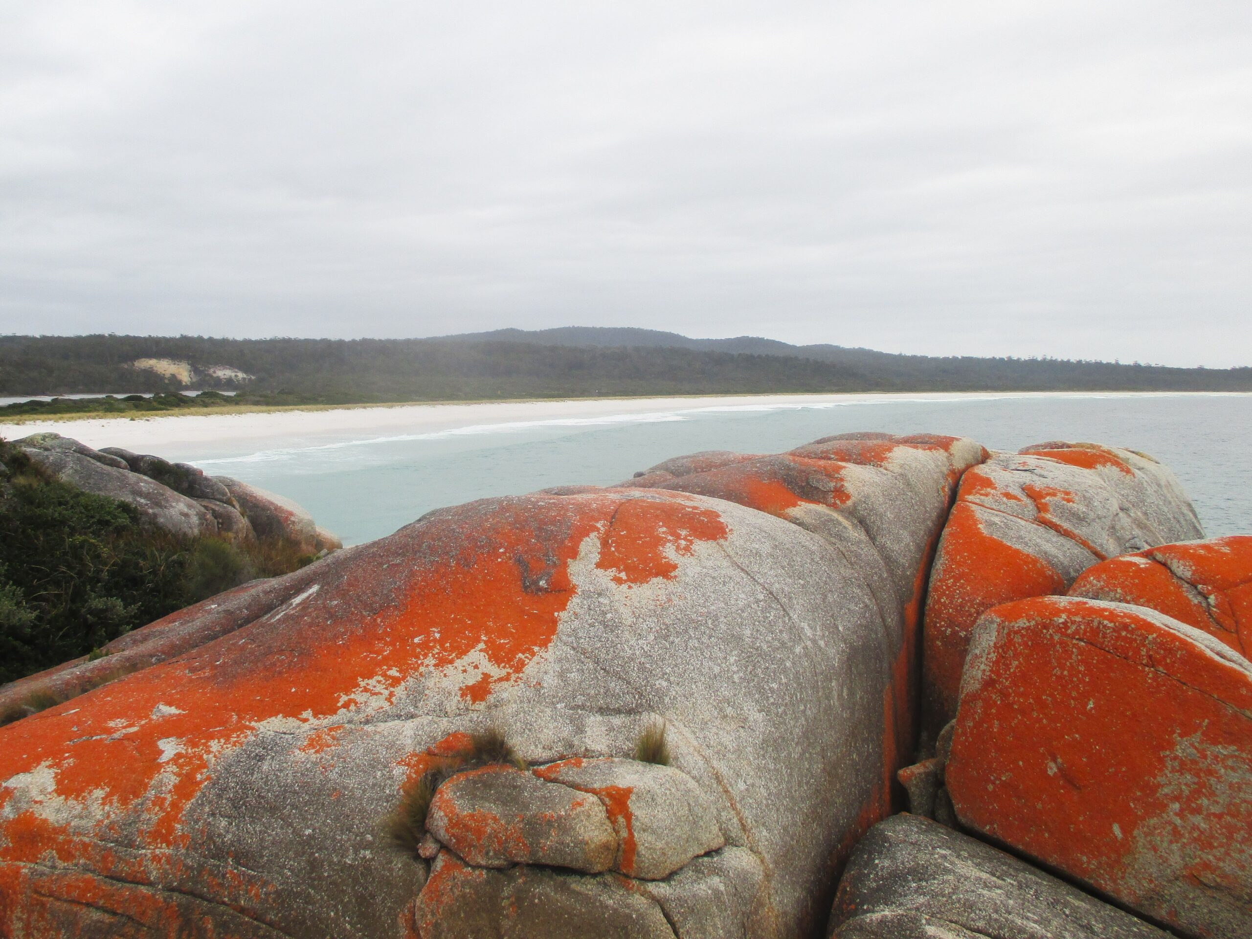 The stones that gives the Bay of Fires it's name