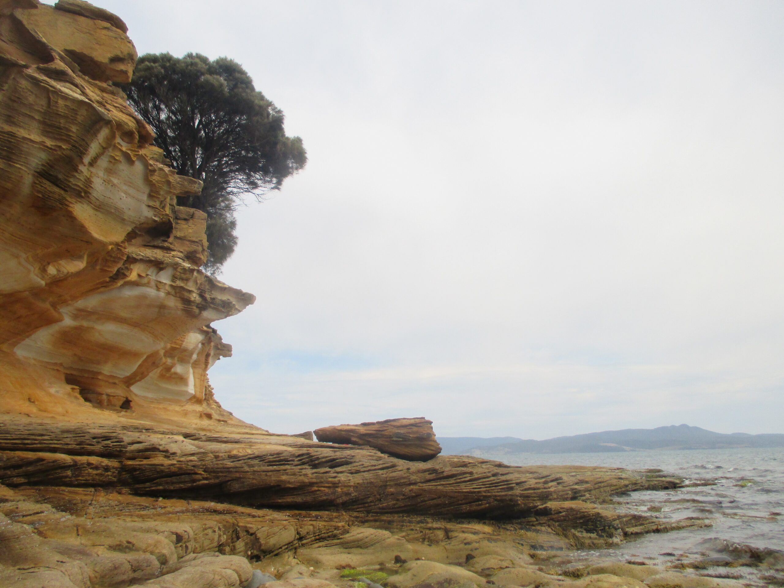 The cliffs on the rocky beaches