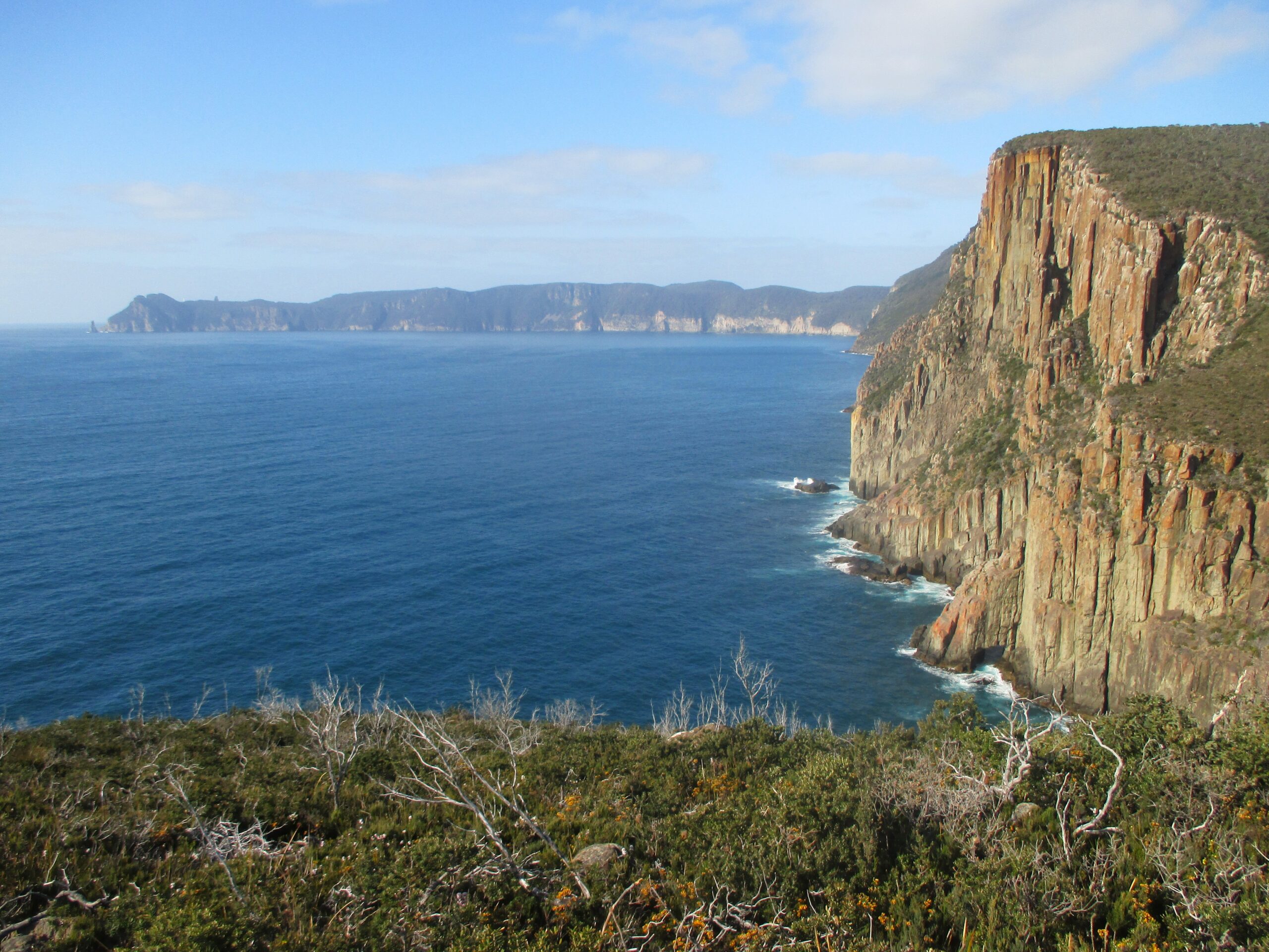 The sea cliffs of Tasman National Park