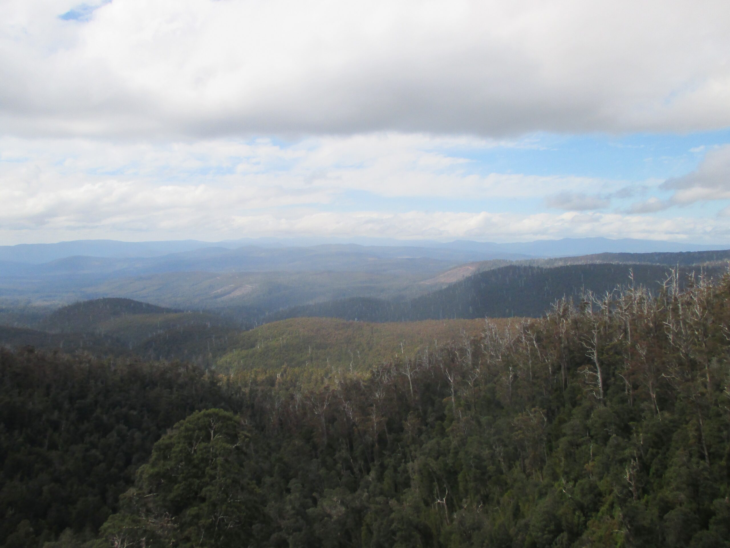 Expansive view from up on high