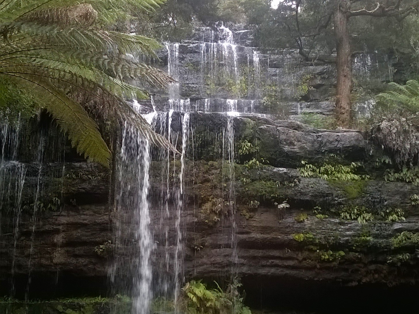 Waterfall in Mount Field