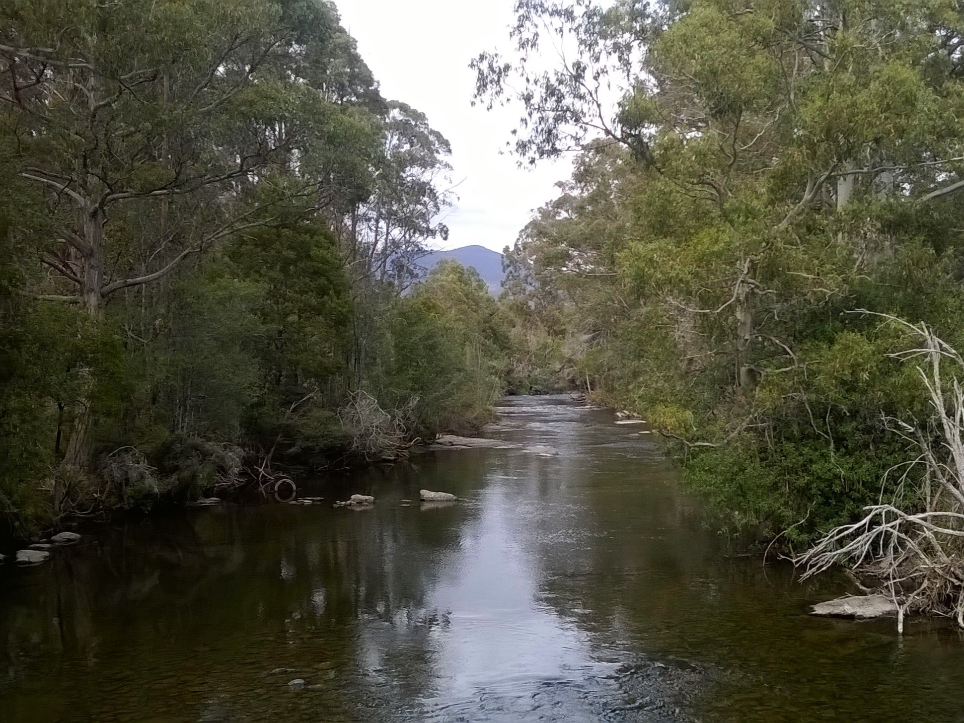 Between Mount Field and Southwest NP