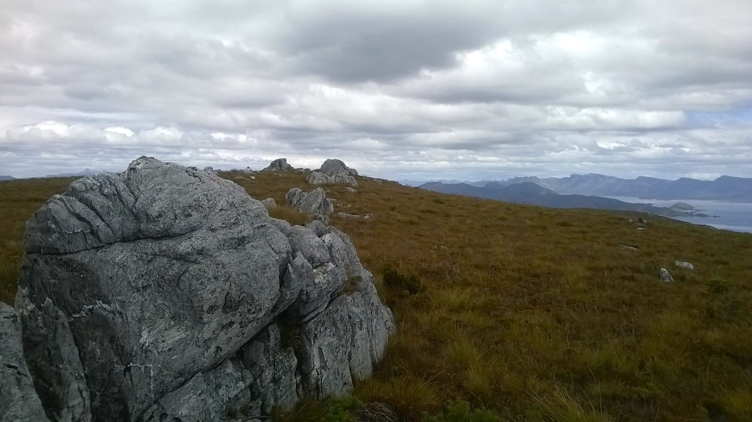 Tasmania's remaining wilderness