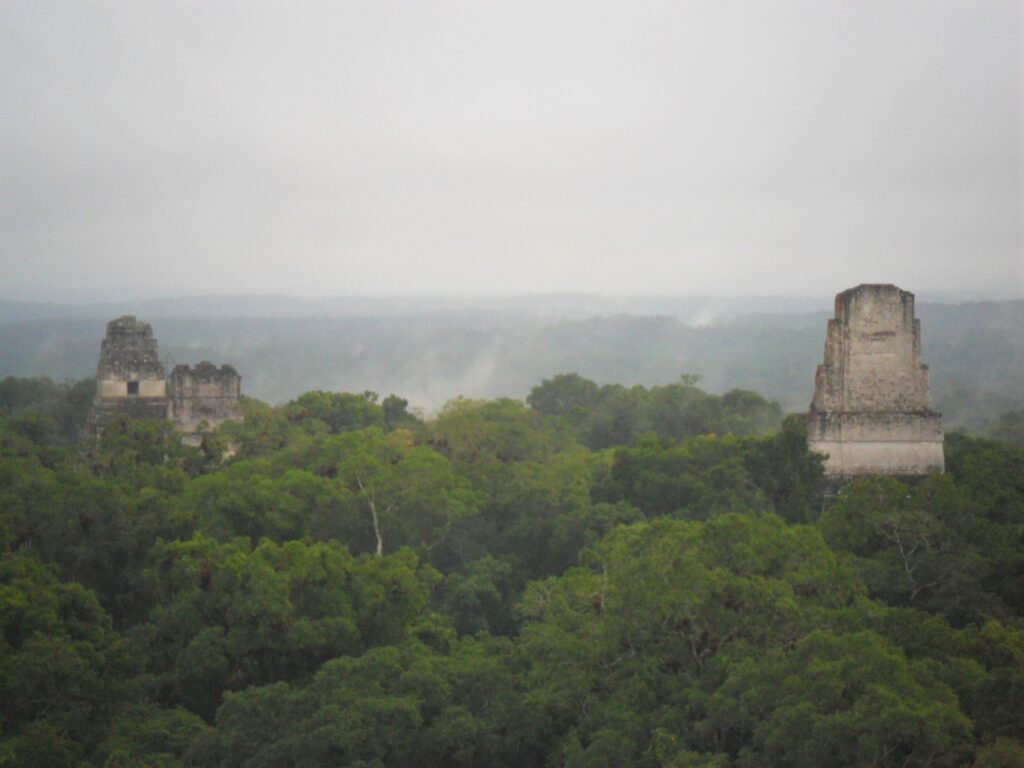 View from the tallest temple, above the tree-line