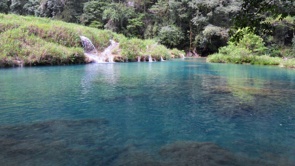 One one of the water pools at Semuc Champey