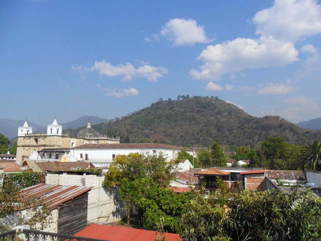 Rooftop view of the city