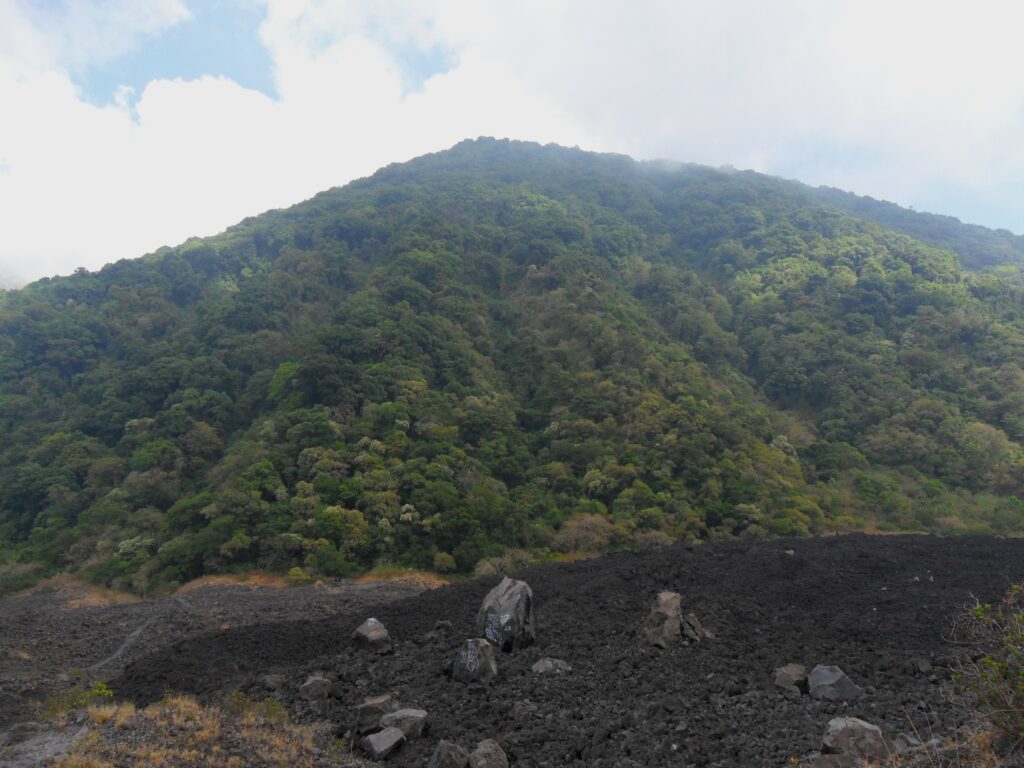 The forest surrounding the volcano