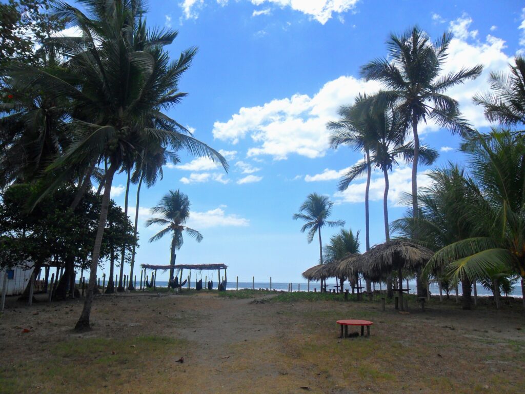 The view from Rancho Esperanza