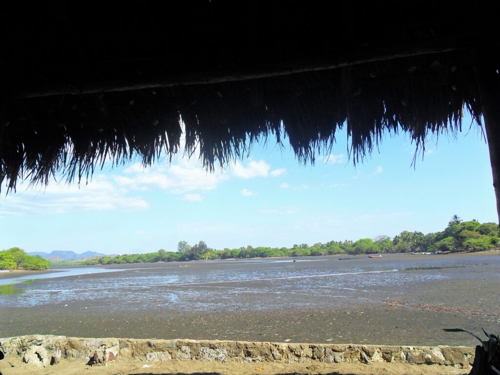 Overlooking the estuary from the lodge