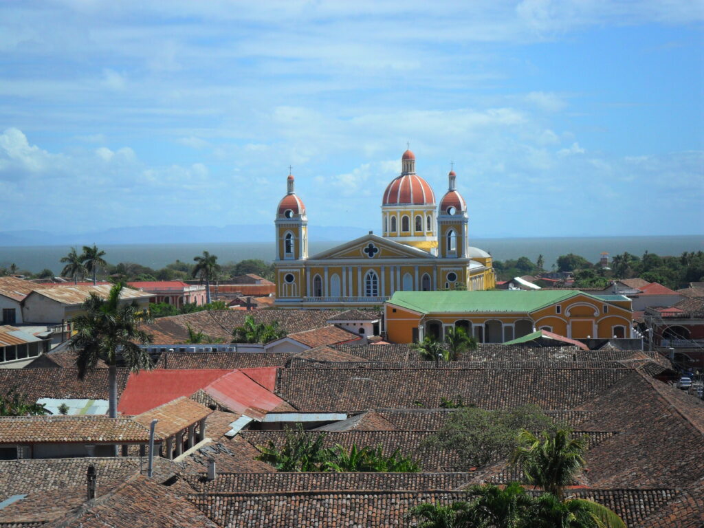 Rooftop view of the city