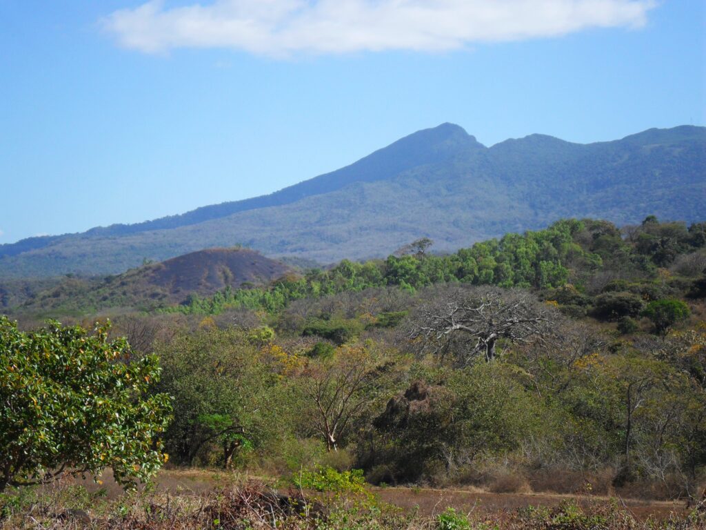 On the hike which sparked my love for wildlife