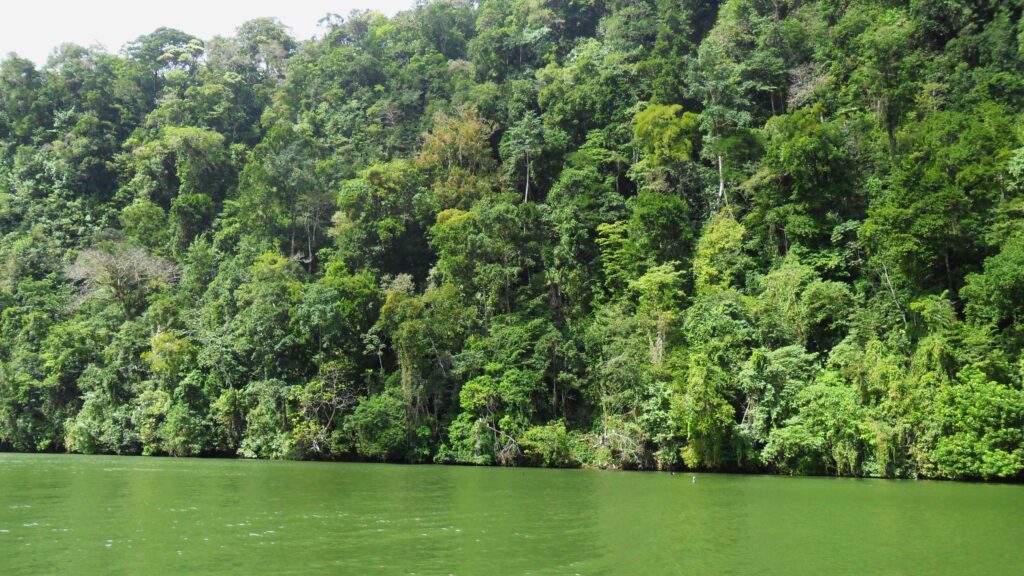 Boating through the gorge