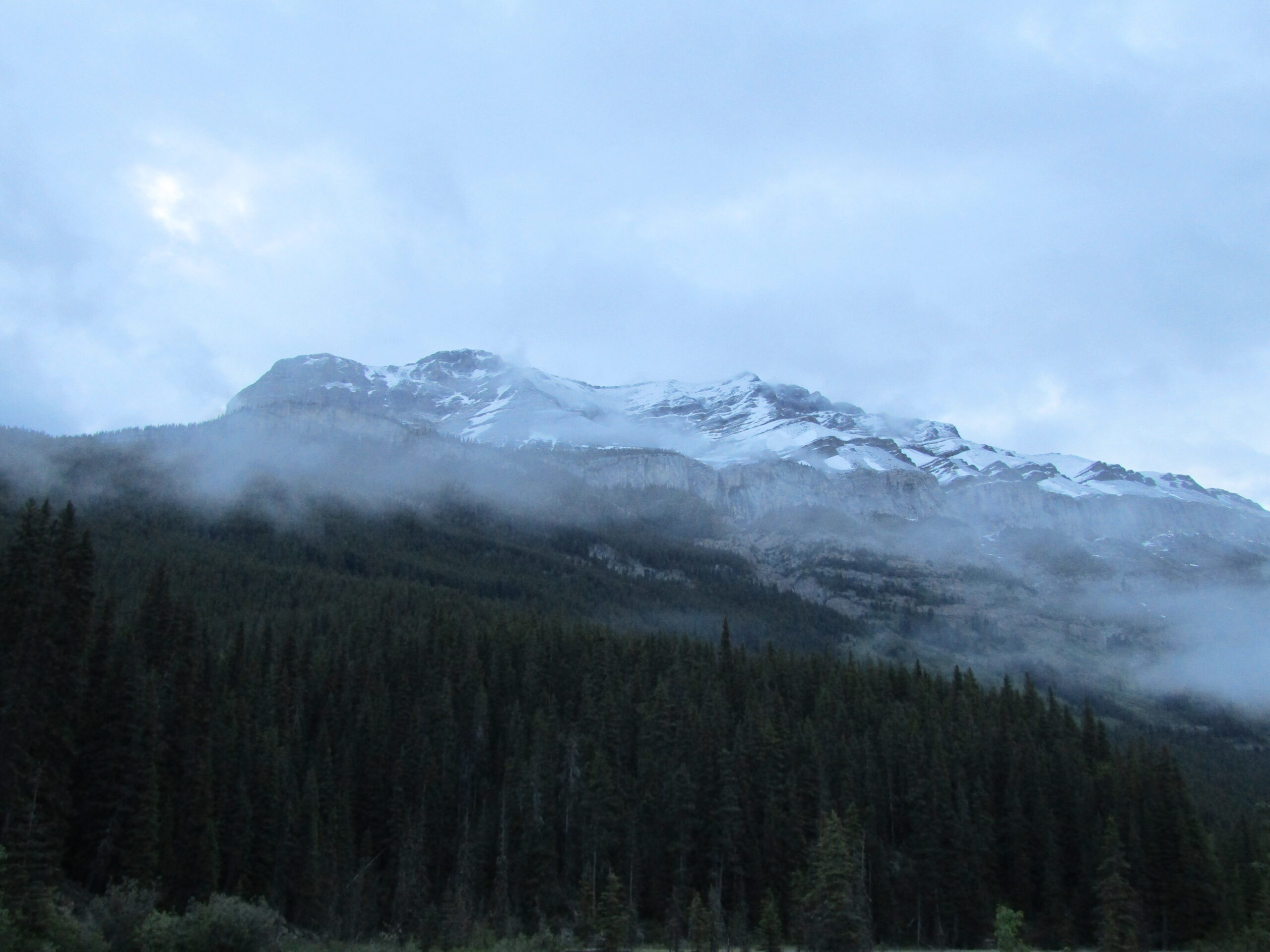 The morning mist on the Icefield Parkway