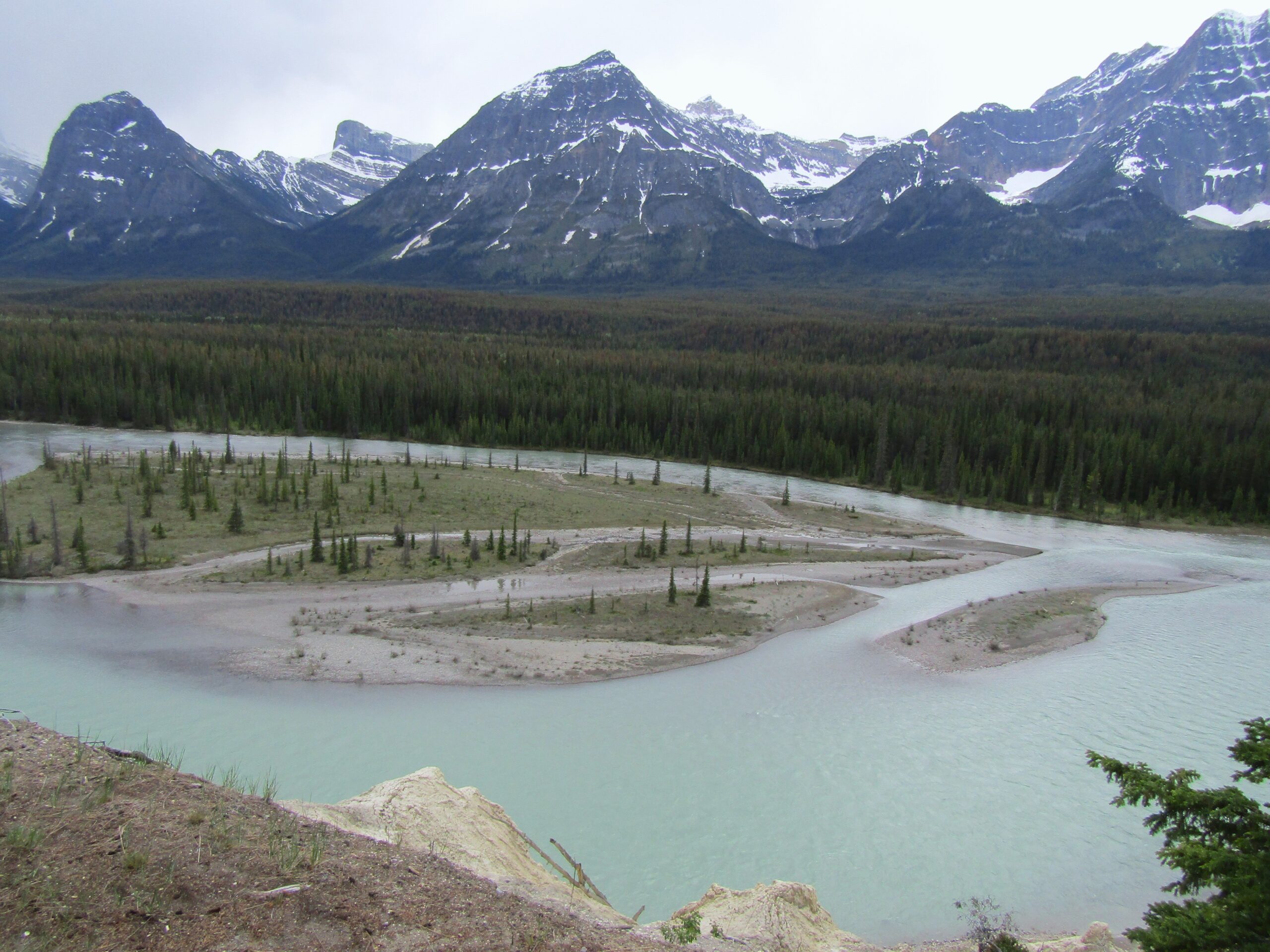 Heading into Jasper National Park