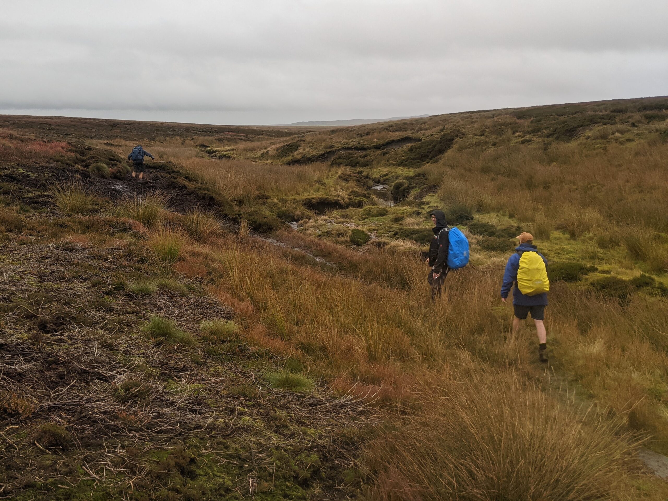 Slogging it through the bog