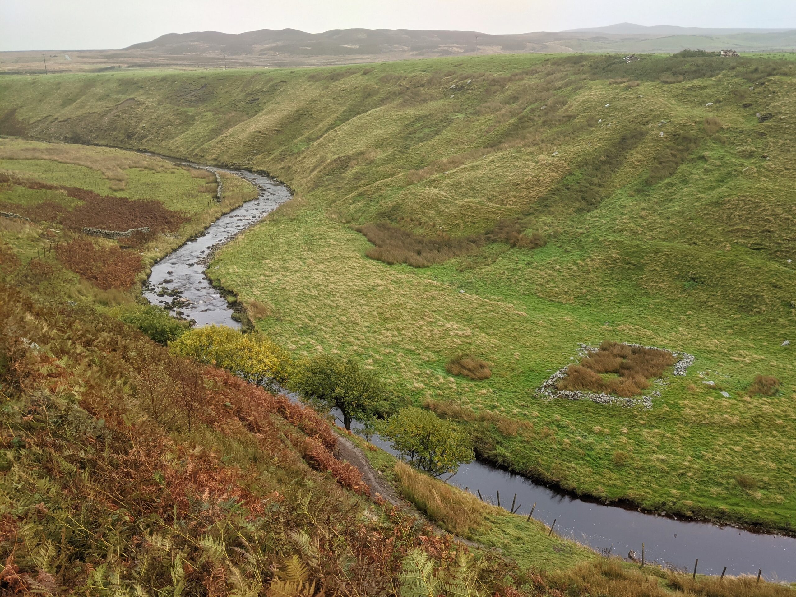 On higher, drier ground