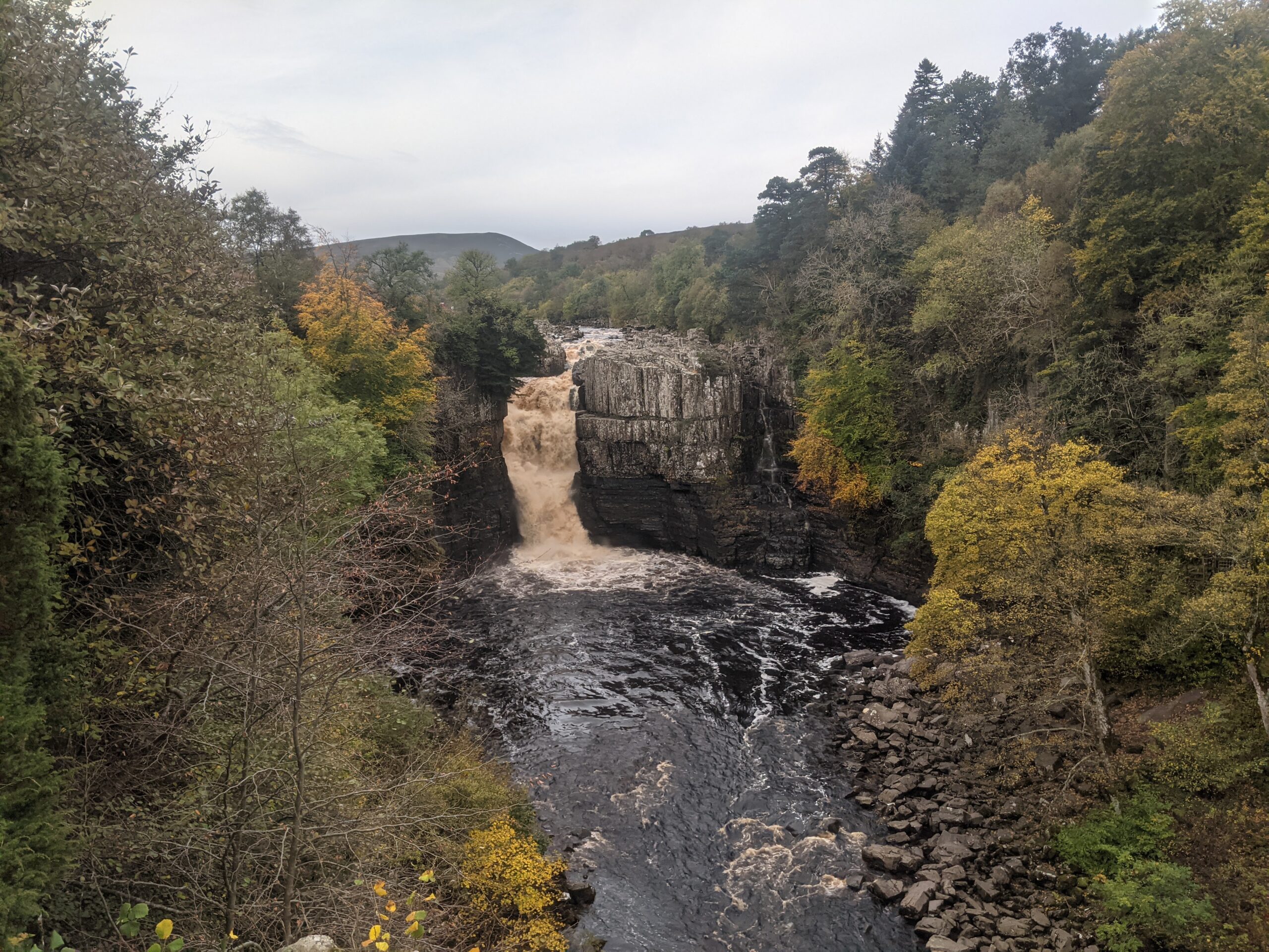 High Force