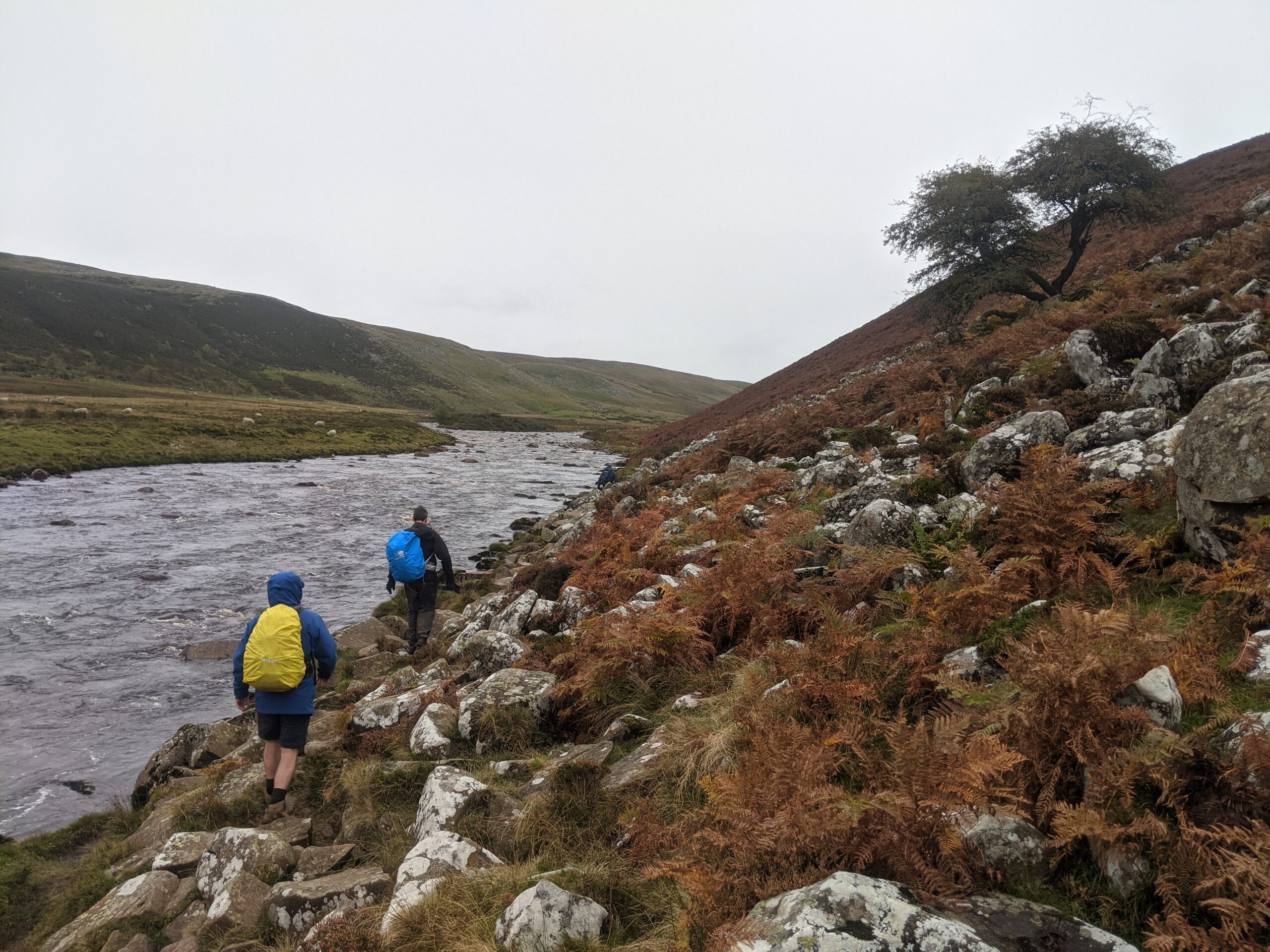 A slightly trickier section of the path