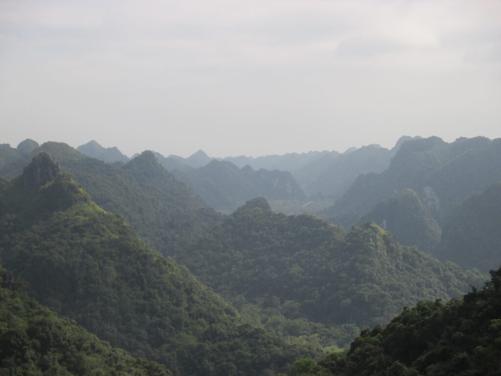 Cat Ba National Park