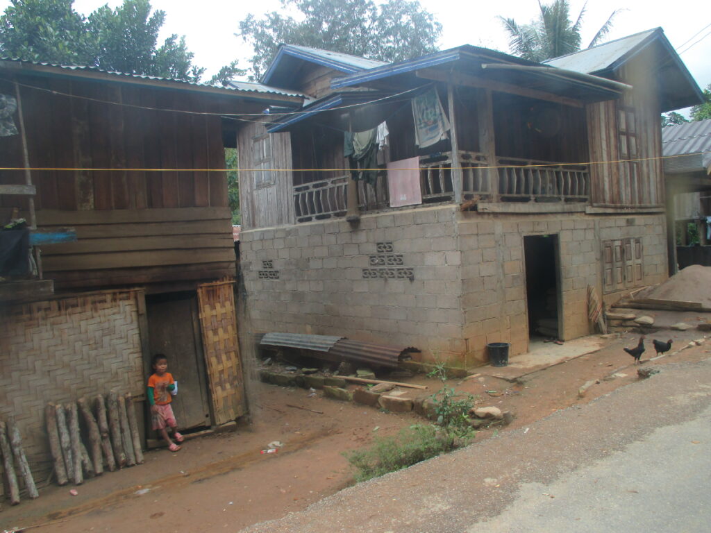 Houses on the roadside