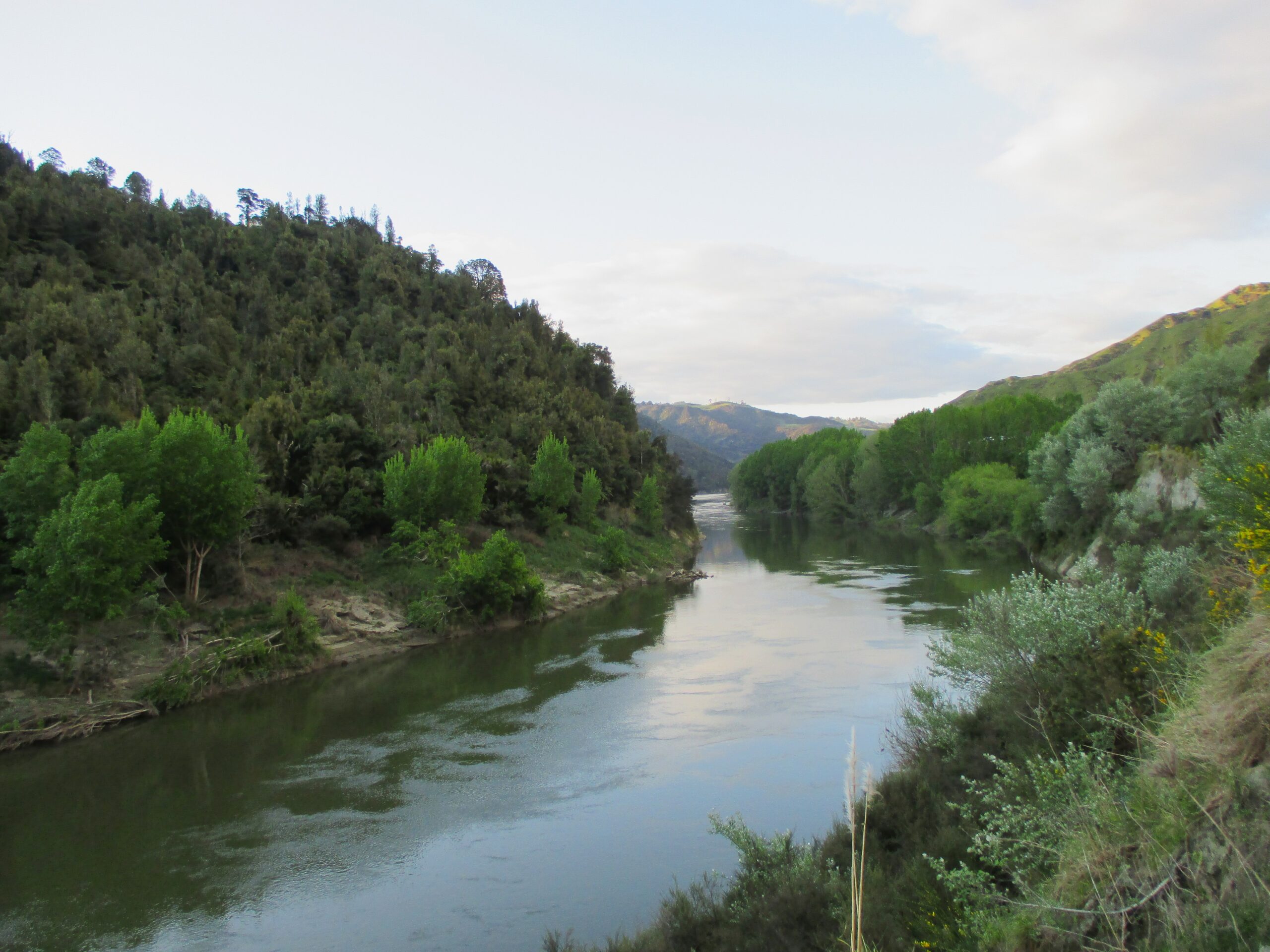 By the river