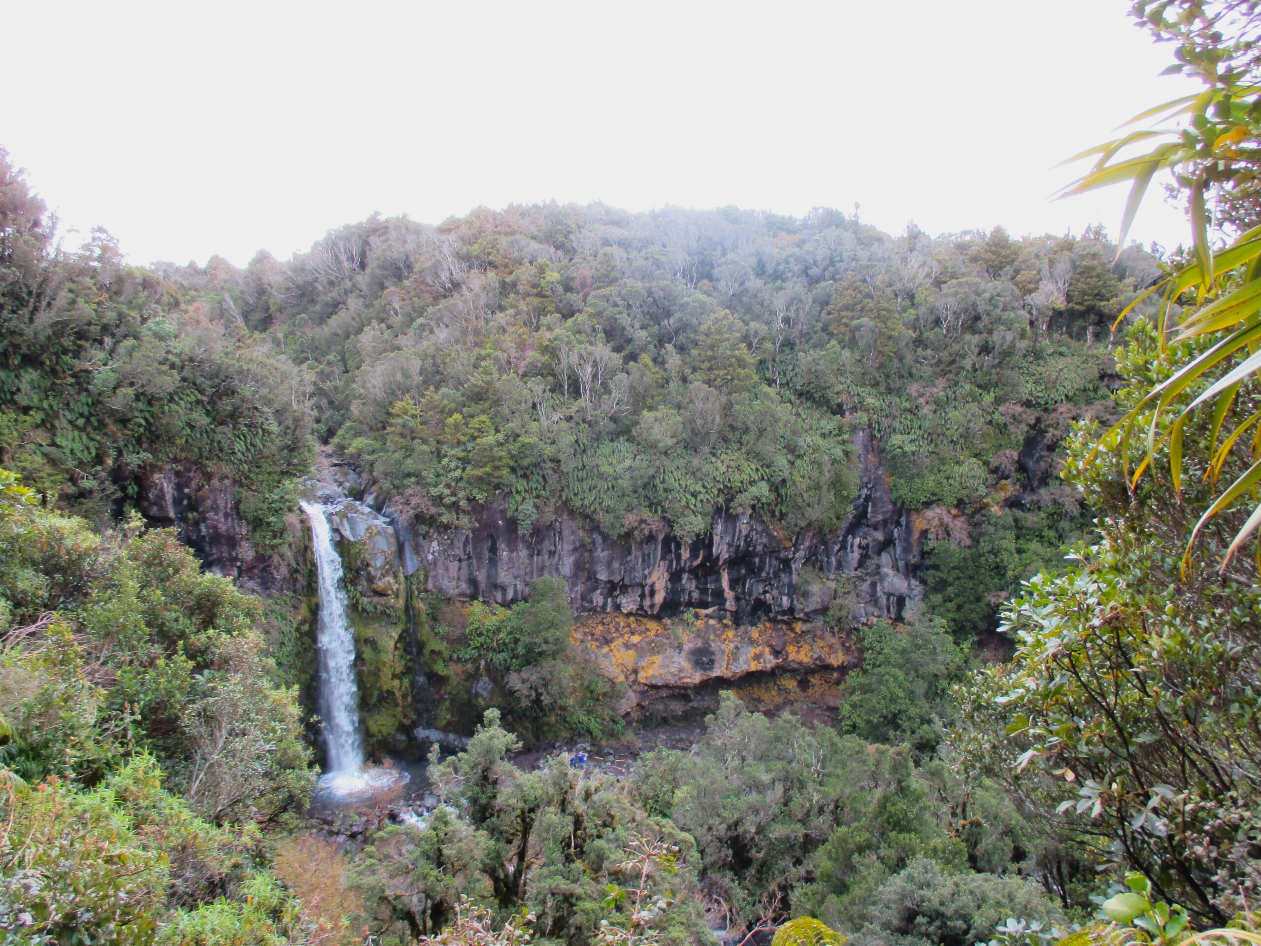 Walking to Dawson Falls