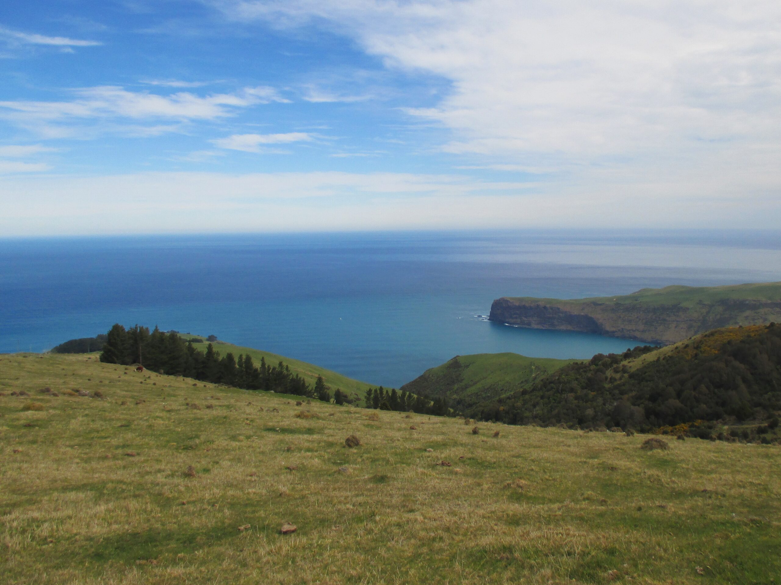 View of the Pacific Ocean