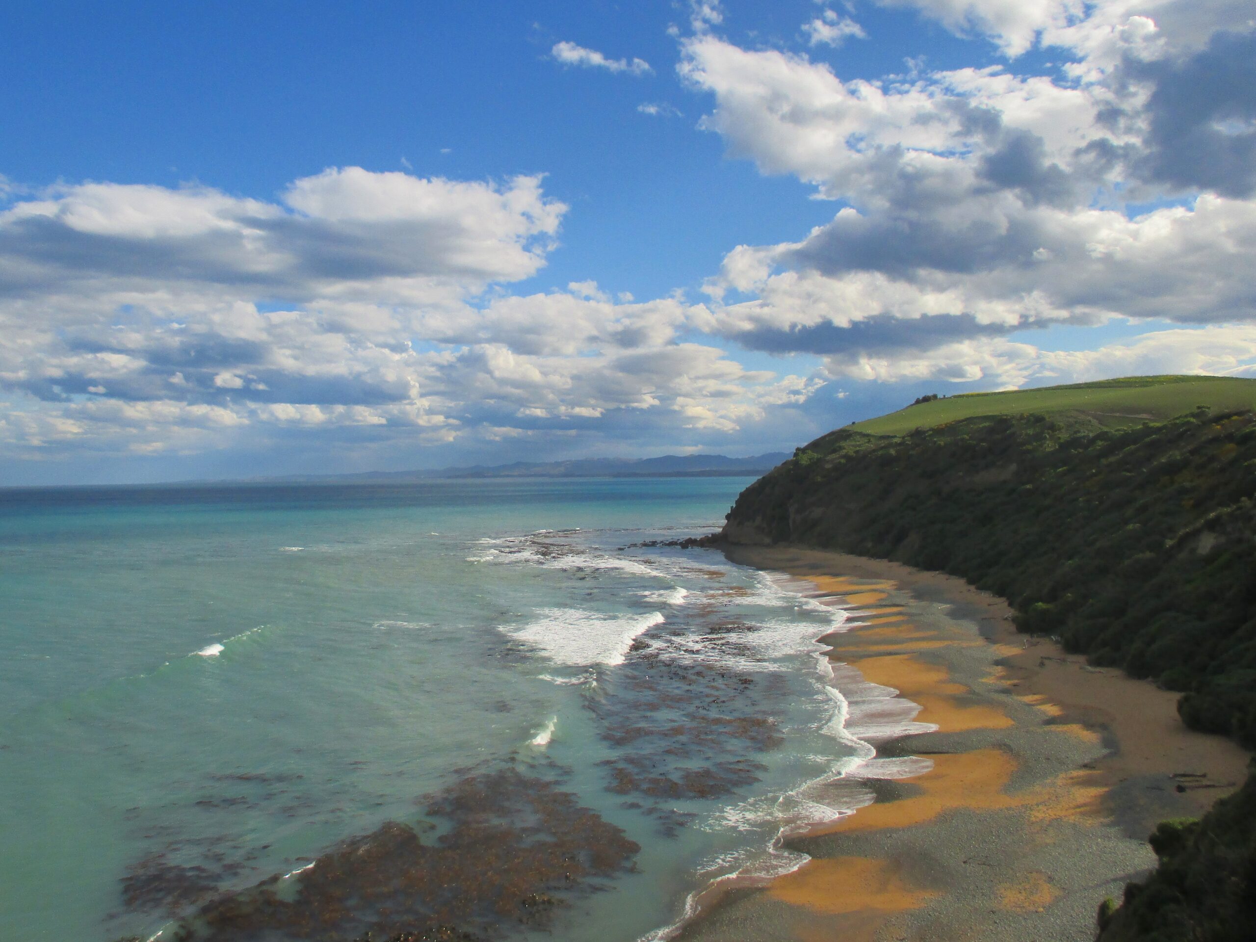 Bushy Beach Reserve