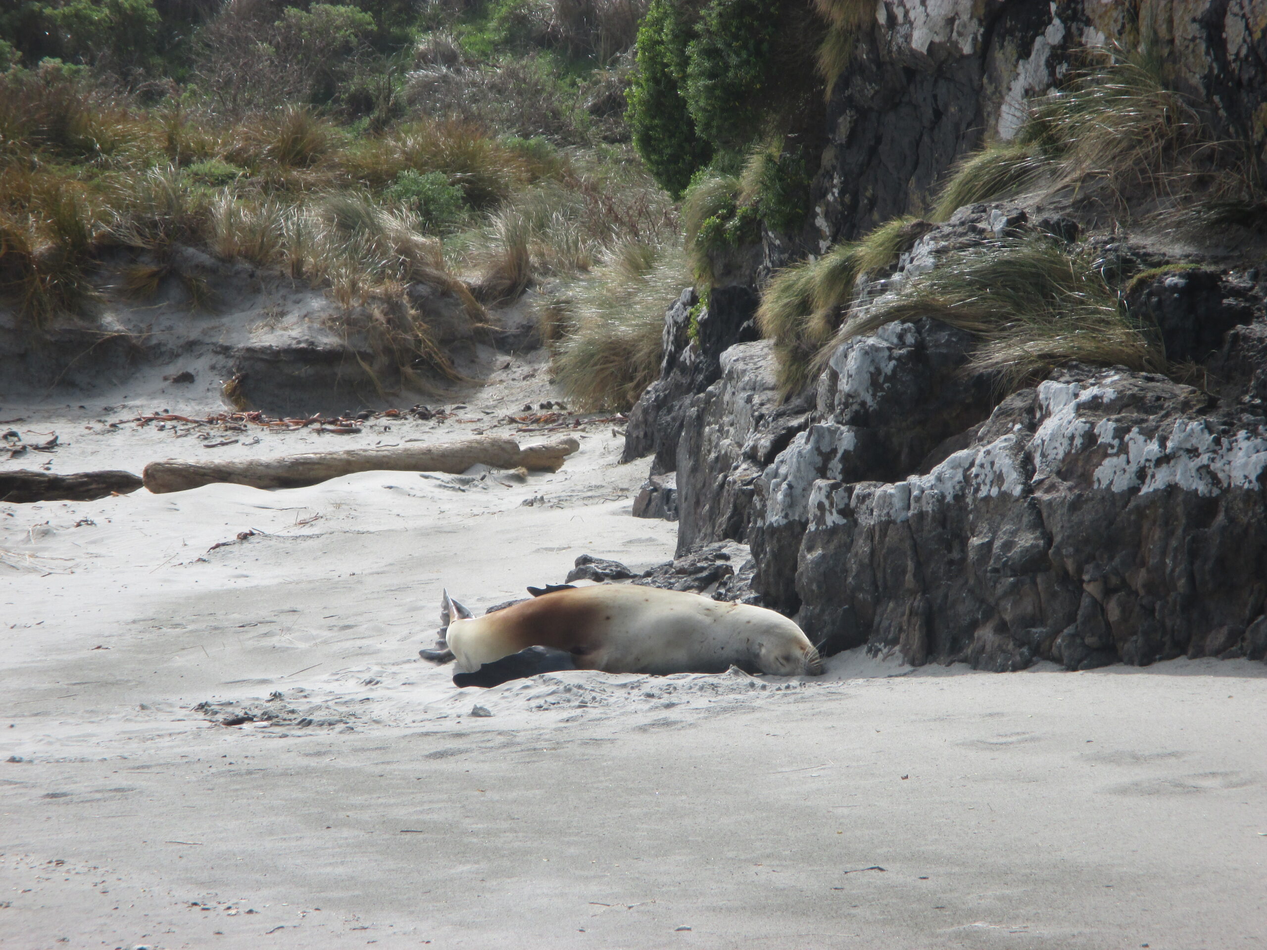 Female sleeping soundly