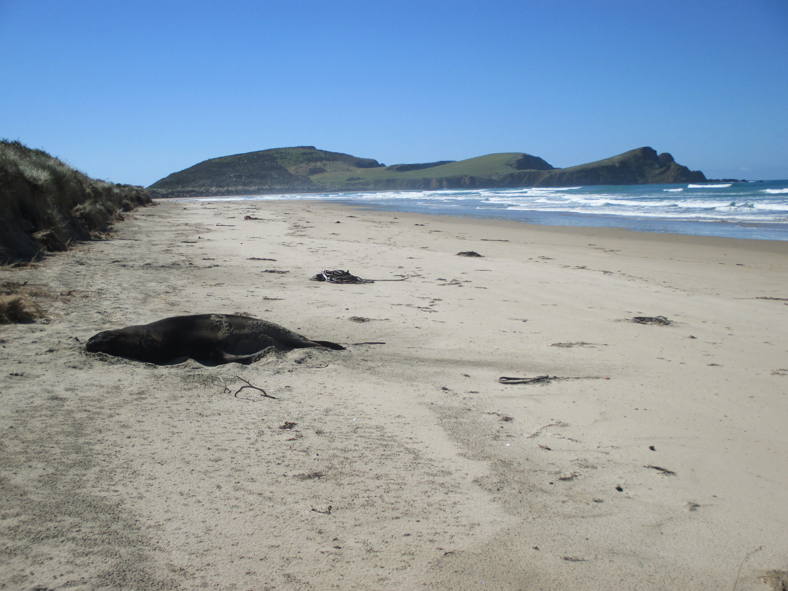 Surat Bay Beach