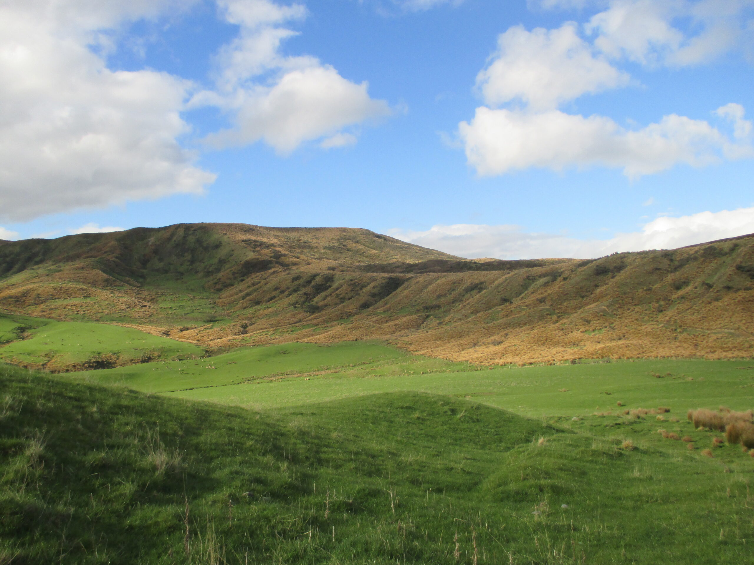 The ever-changing landscape on the South Island