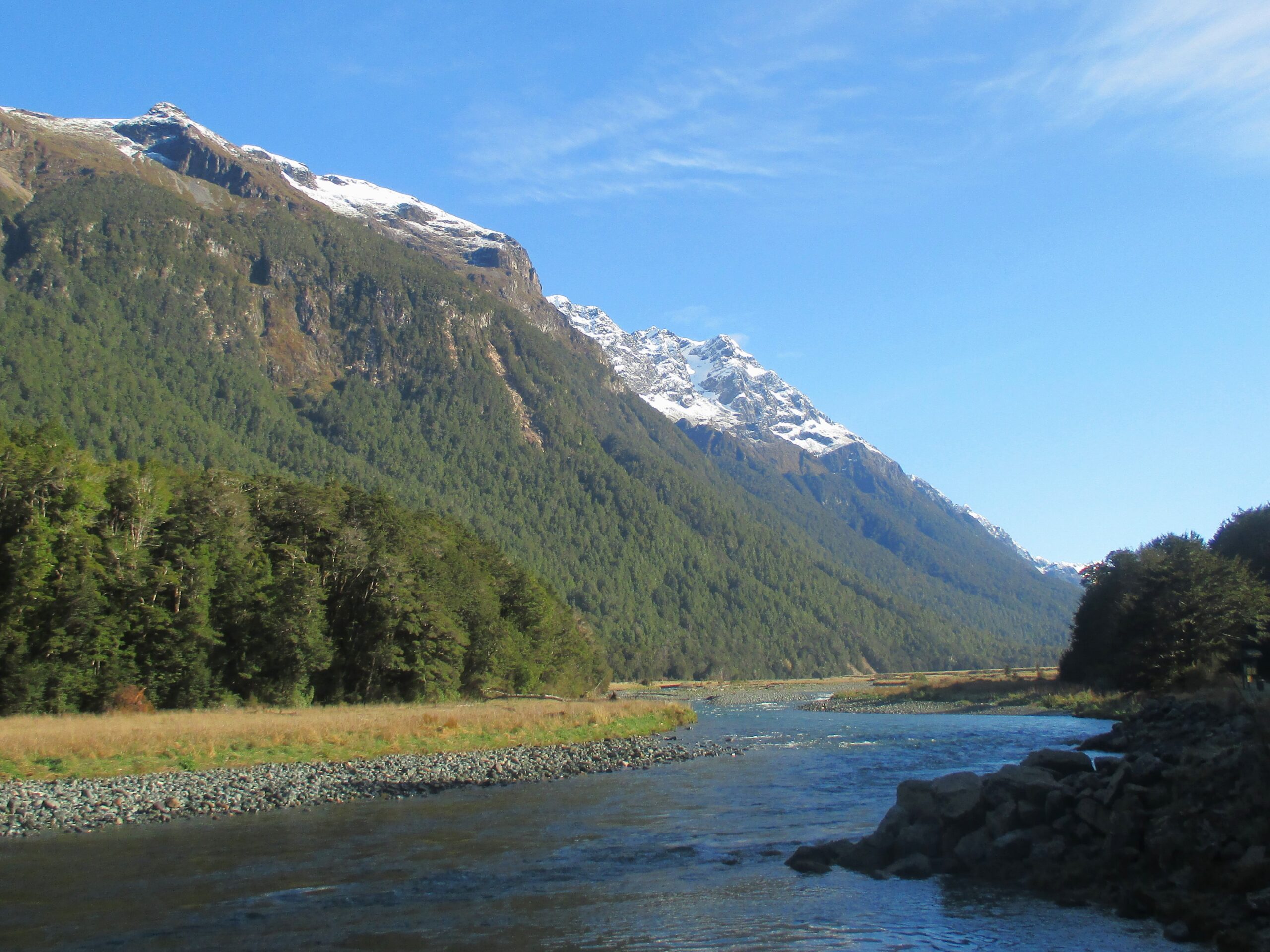 On way to Milford Sound from Te Anau