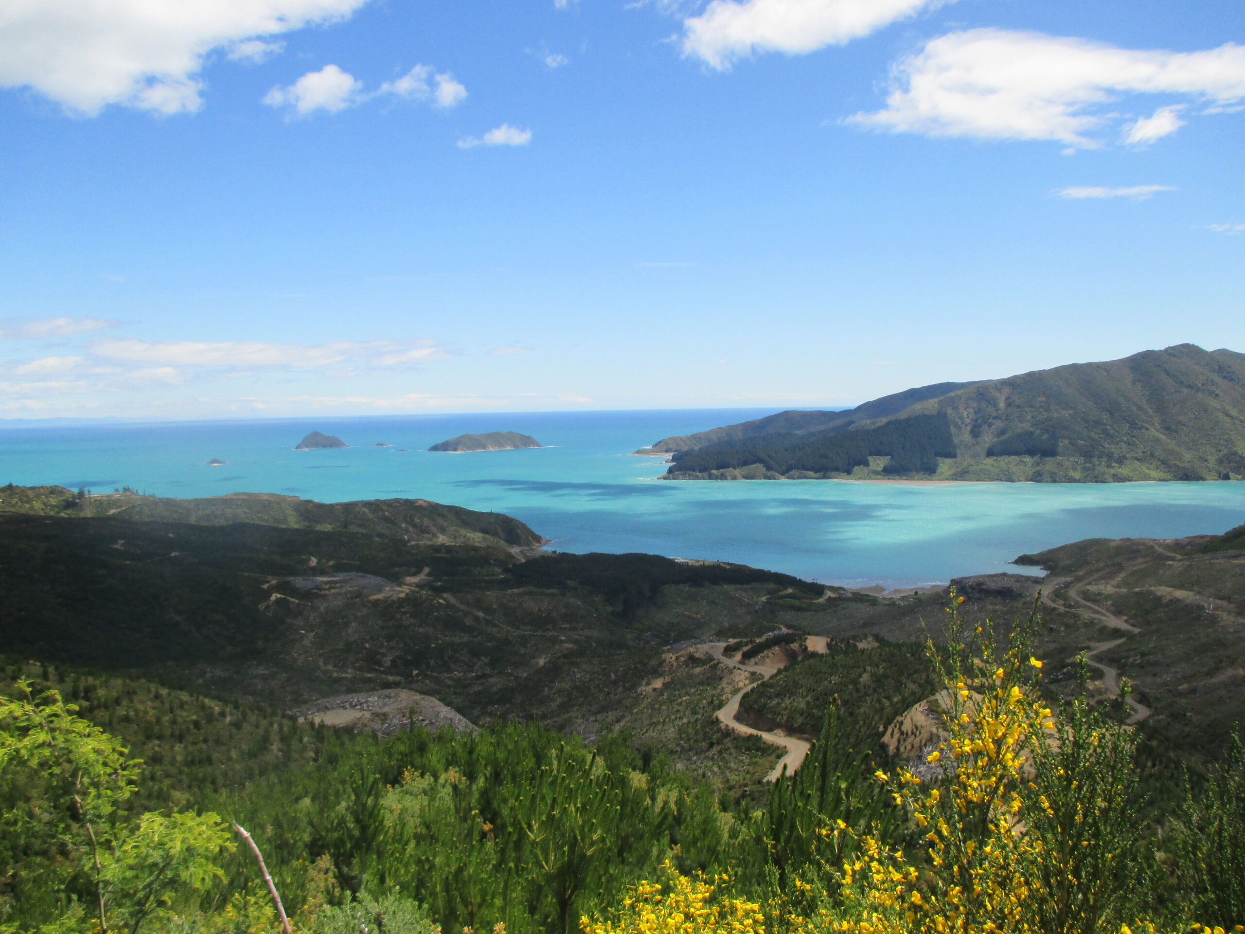 Marlborough Sounds