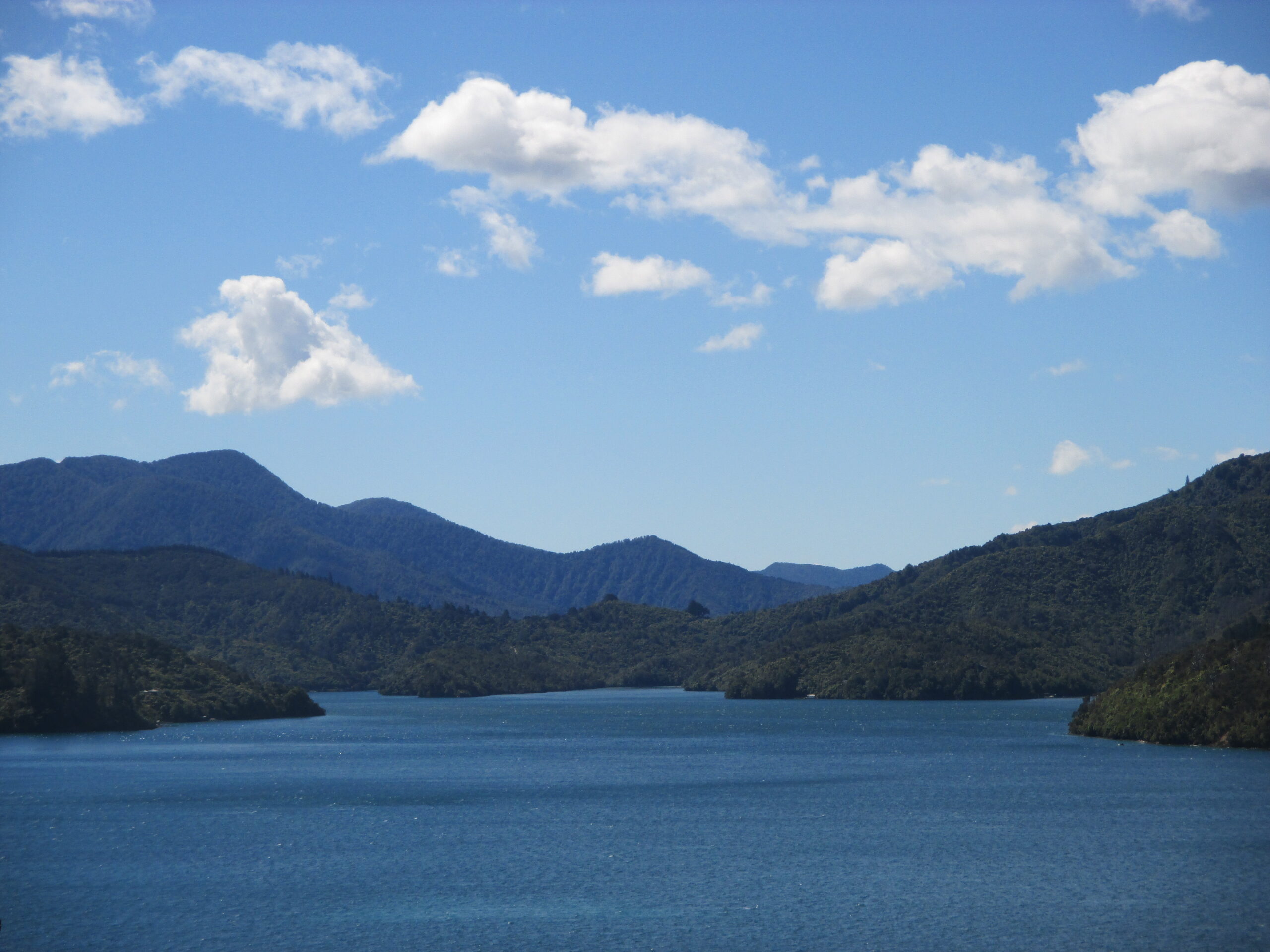 Leaving Marlborough Sounds behind