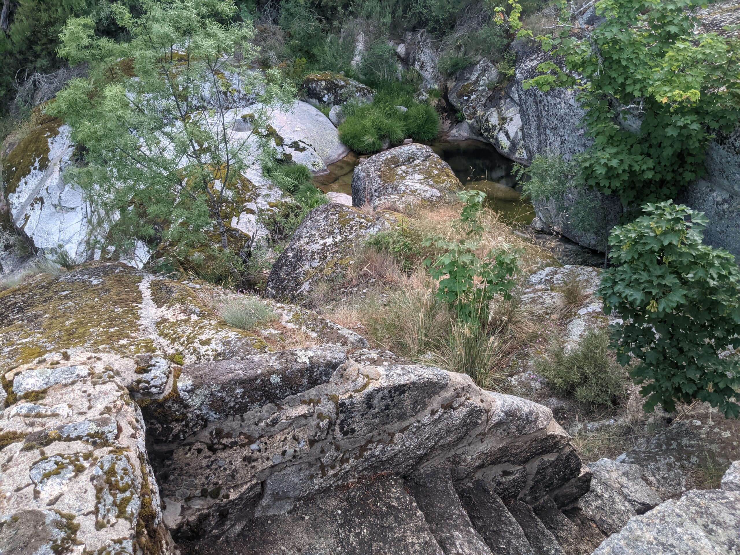 The steps to the natural pool