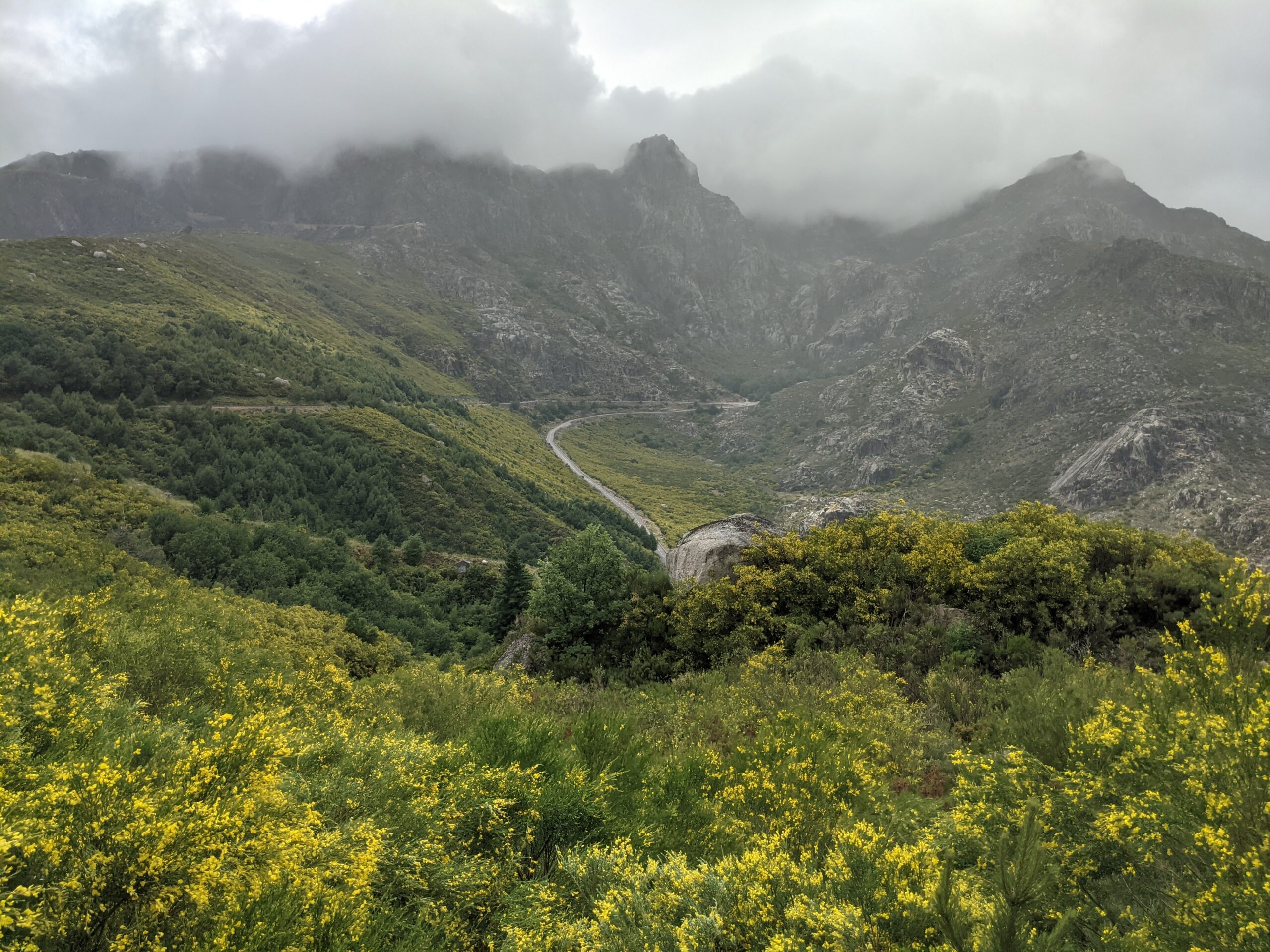 The mountains in mist