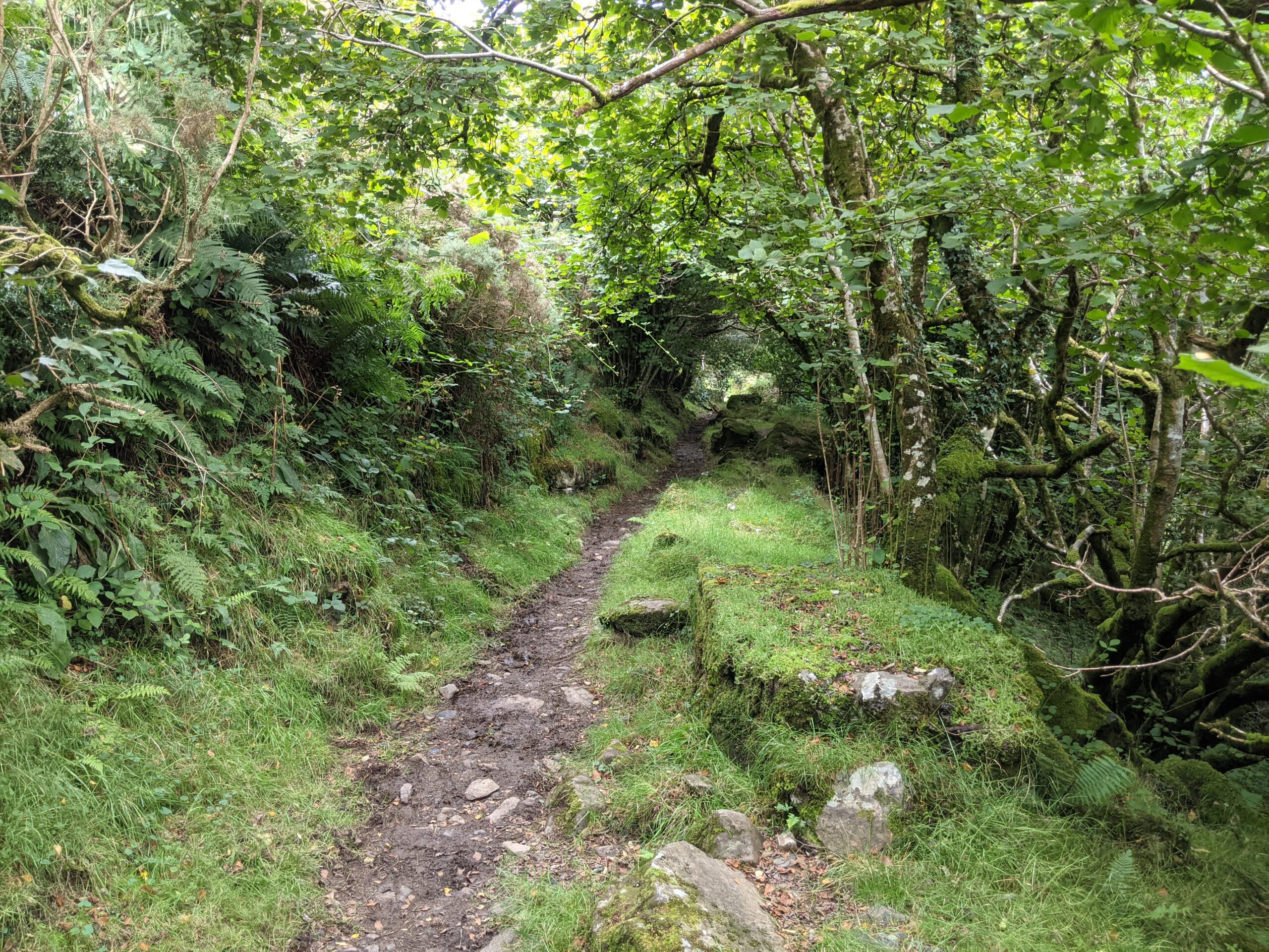 Back through Belstone