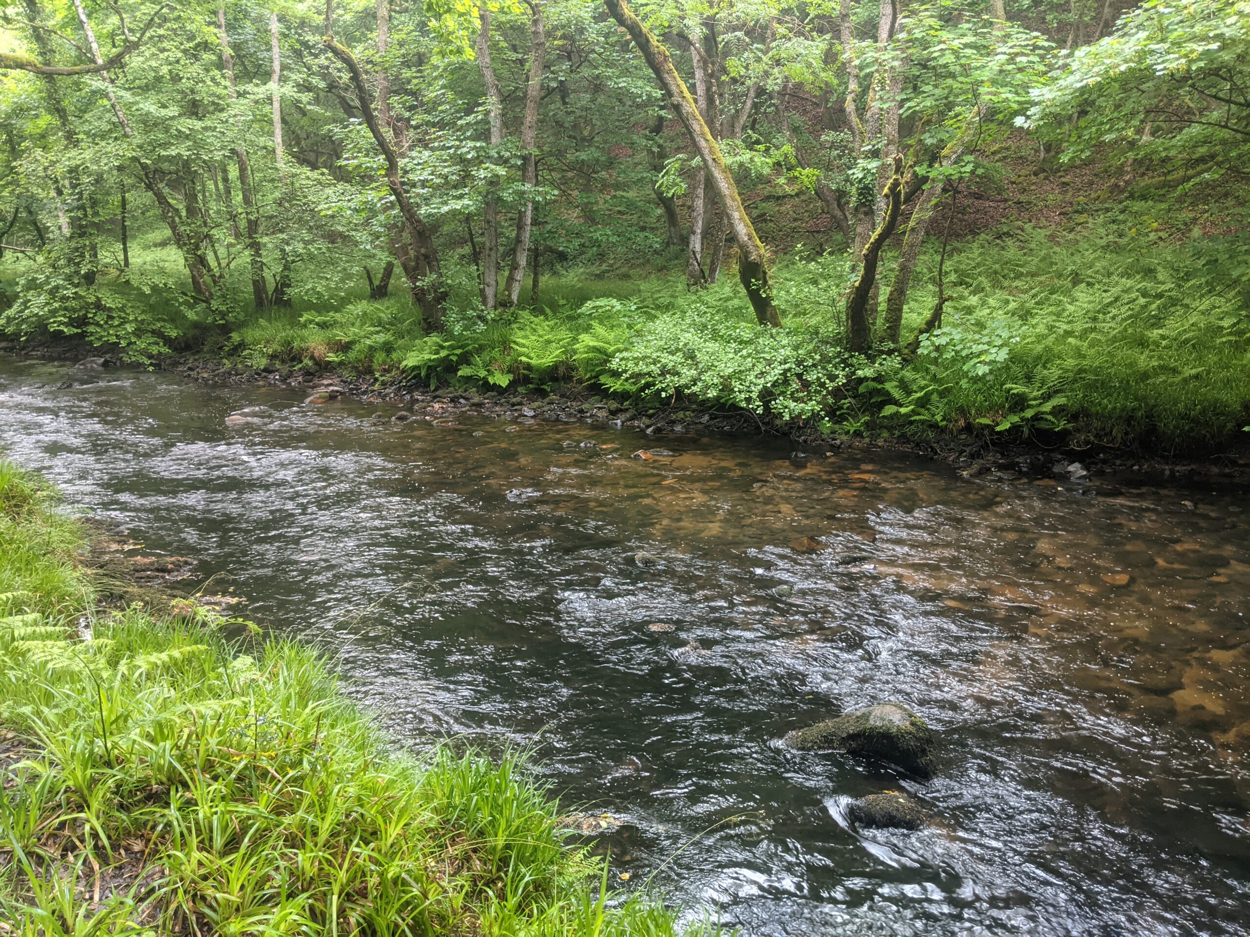 The path follows the river