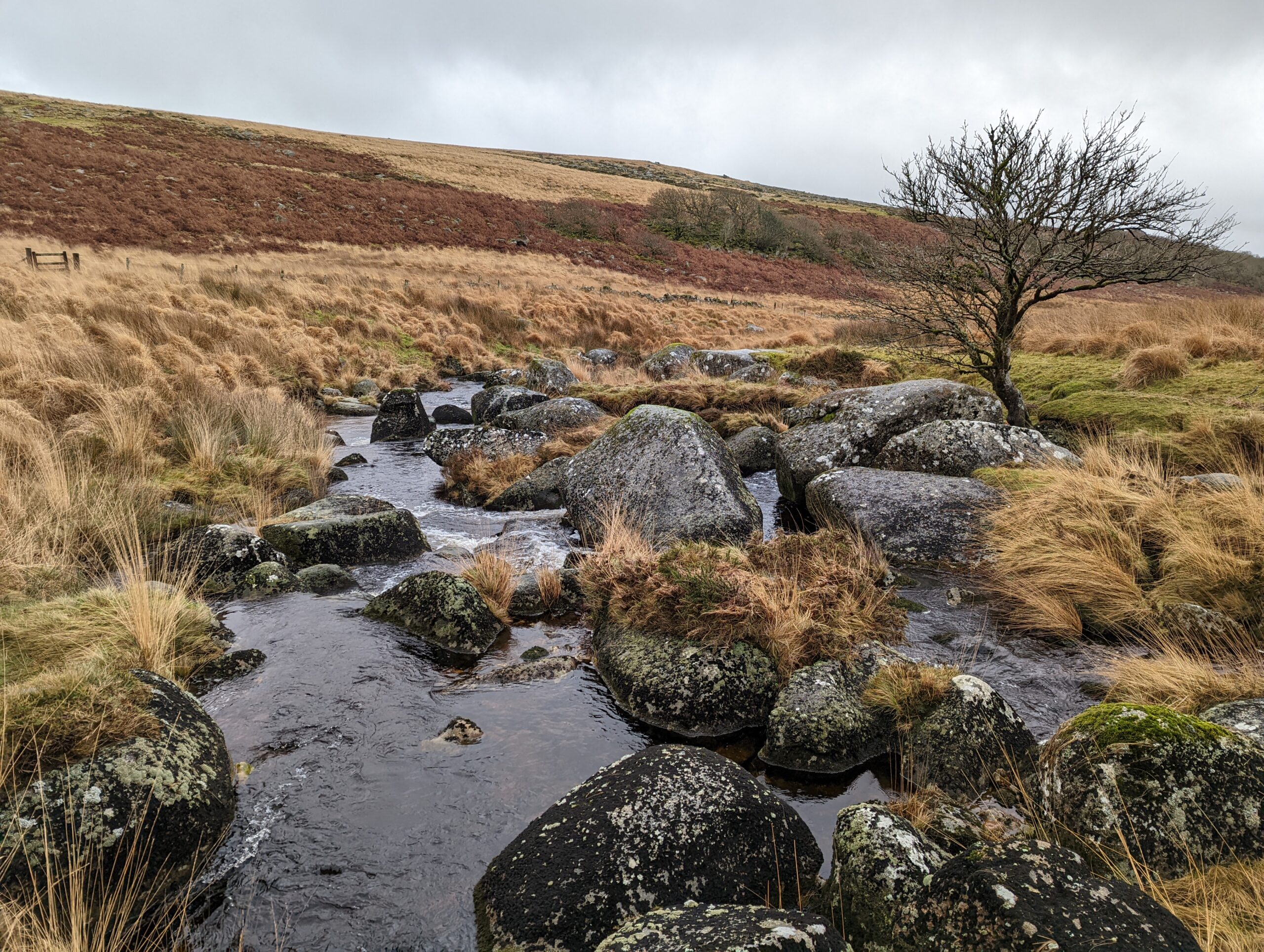 Finding the river