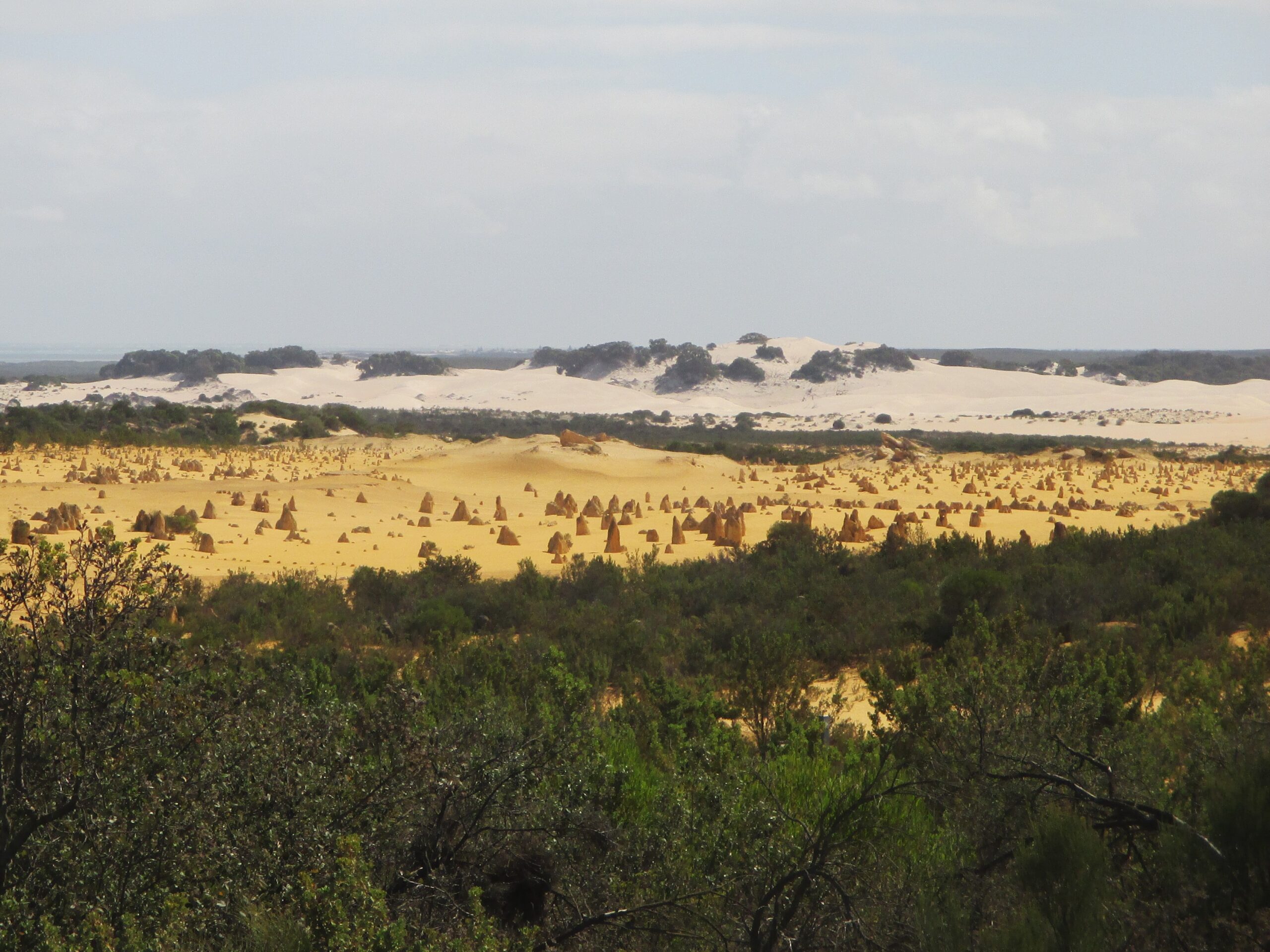 The desert and the sand dunes